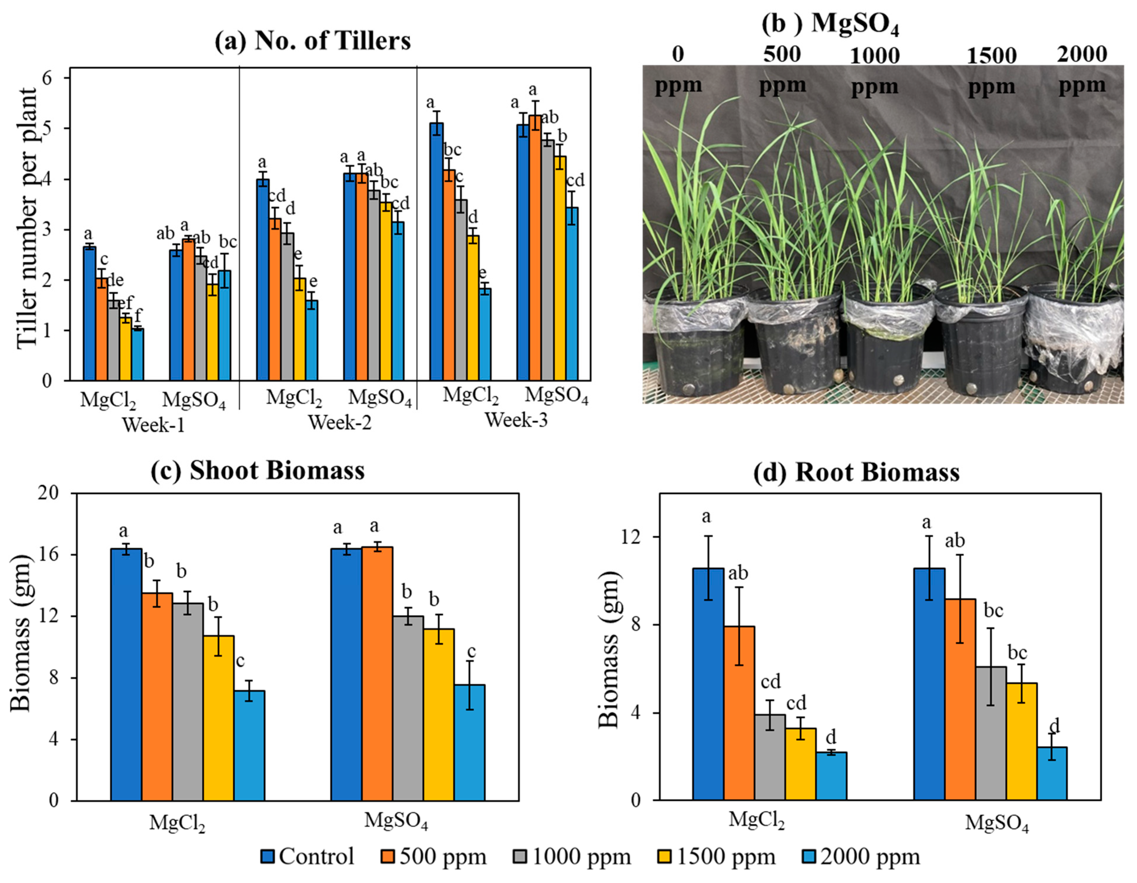 Sustainability 15 15741 g002 Sustainability 15 15741 g002