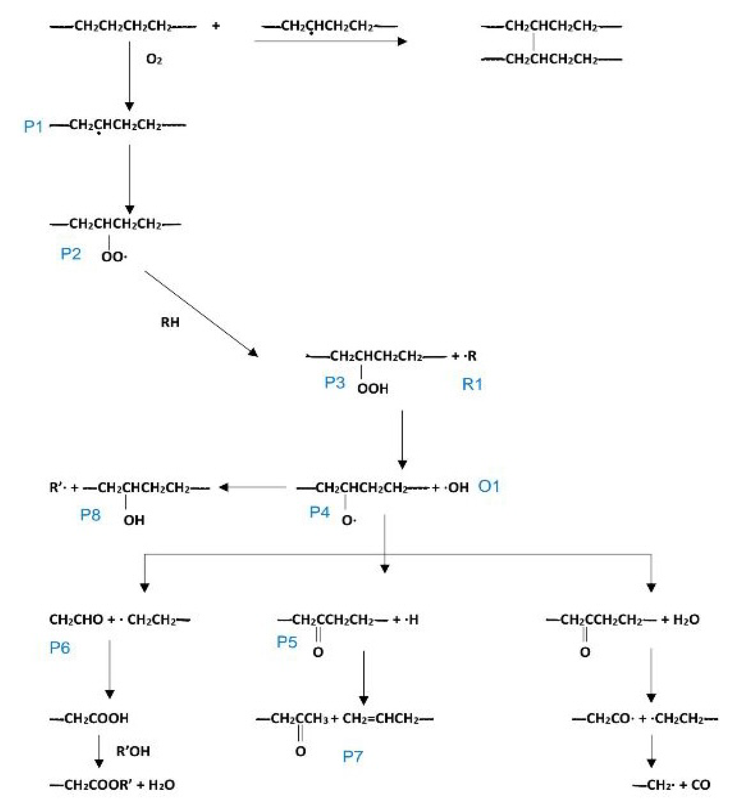 Sustainability 15 15742 g004
