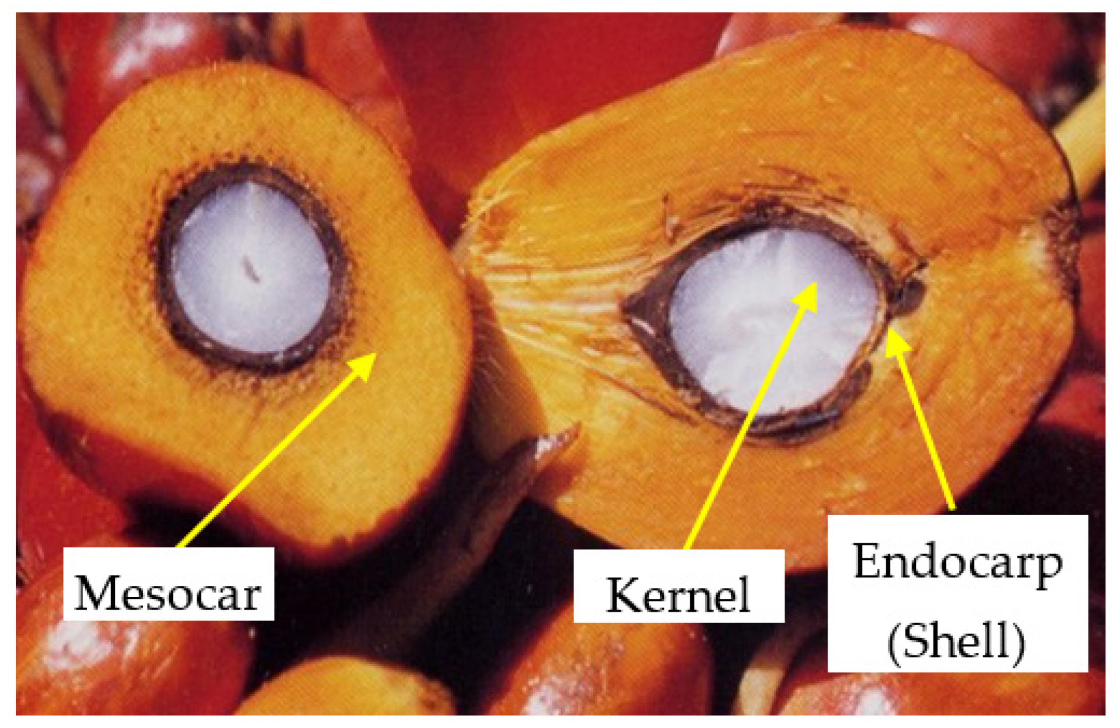 Sustainability 15 15783 g001