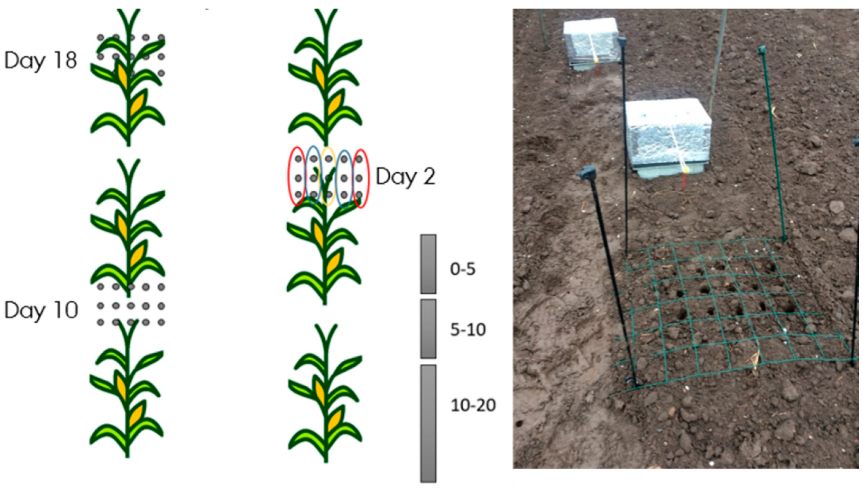 Sustainability 15 15810 g004