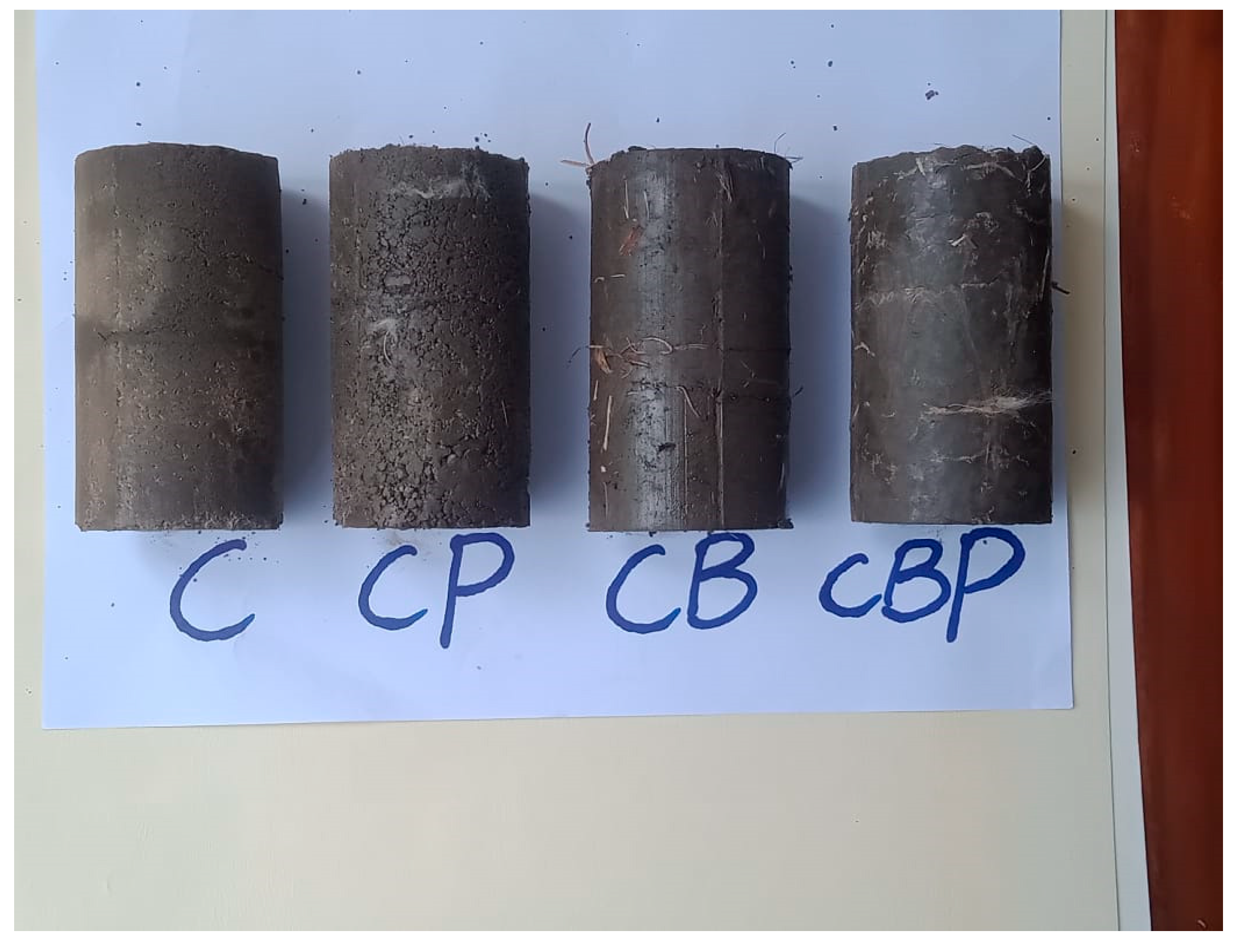 Sustainability 15 15871 g002