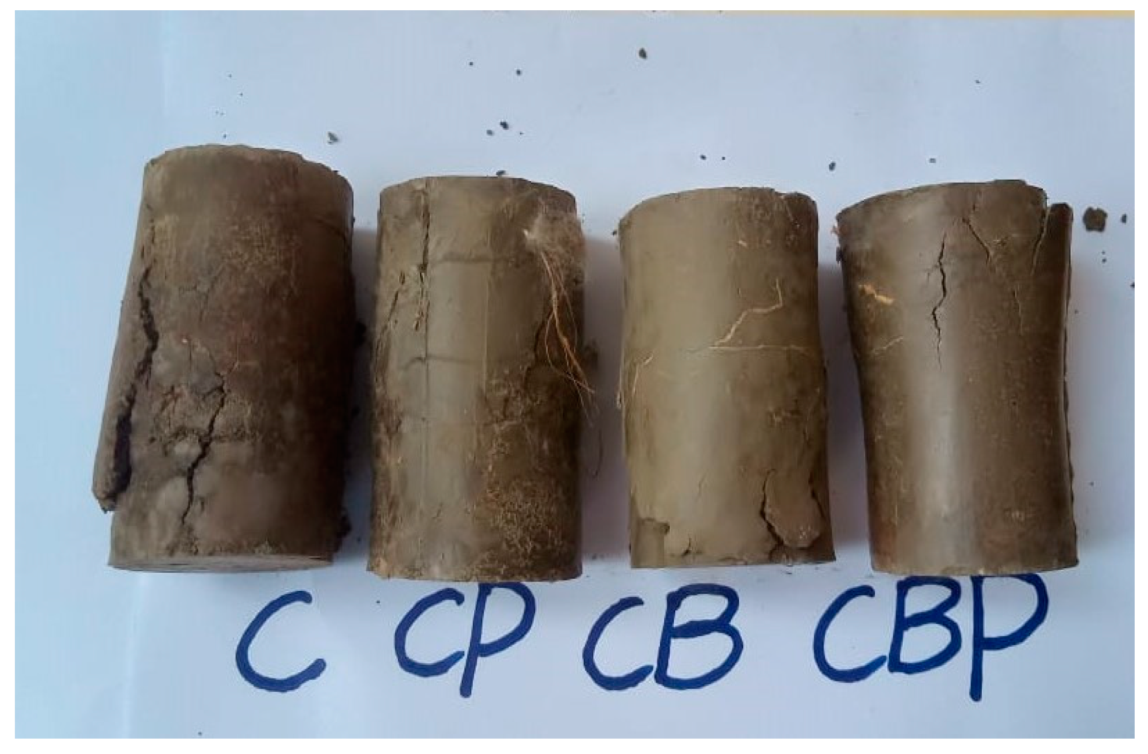 Sustainability 15 15871 g005