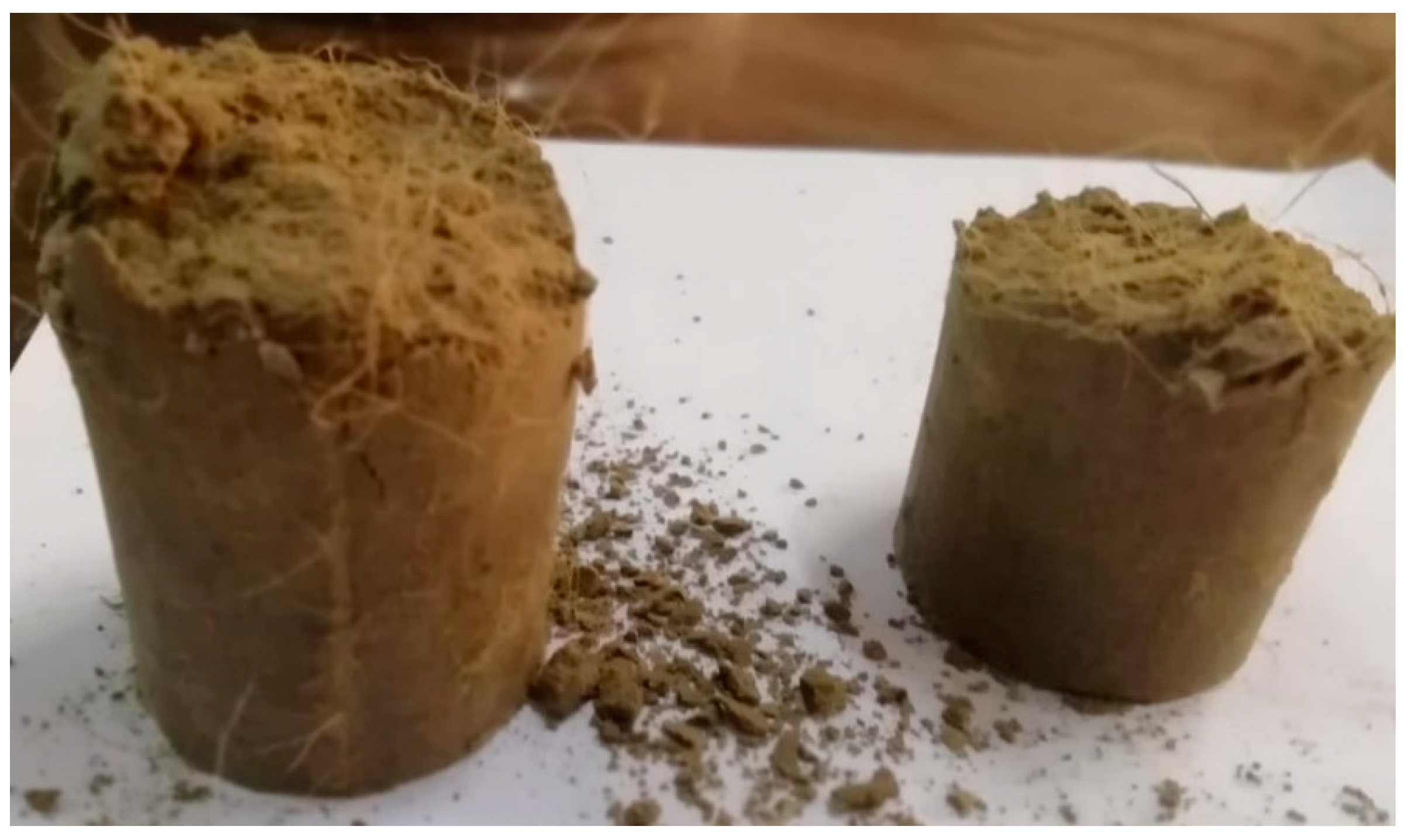 Sustainability 15 15871 g006