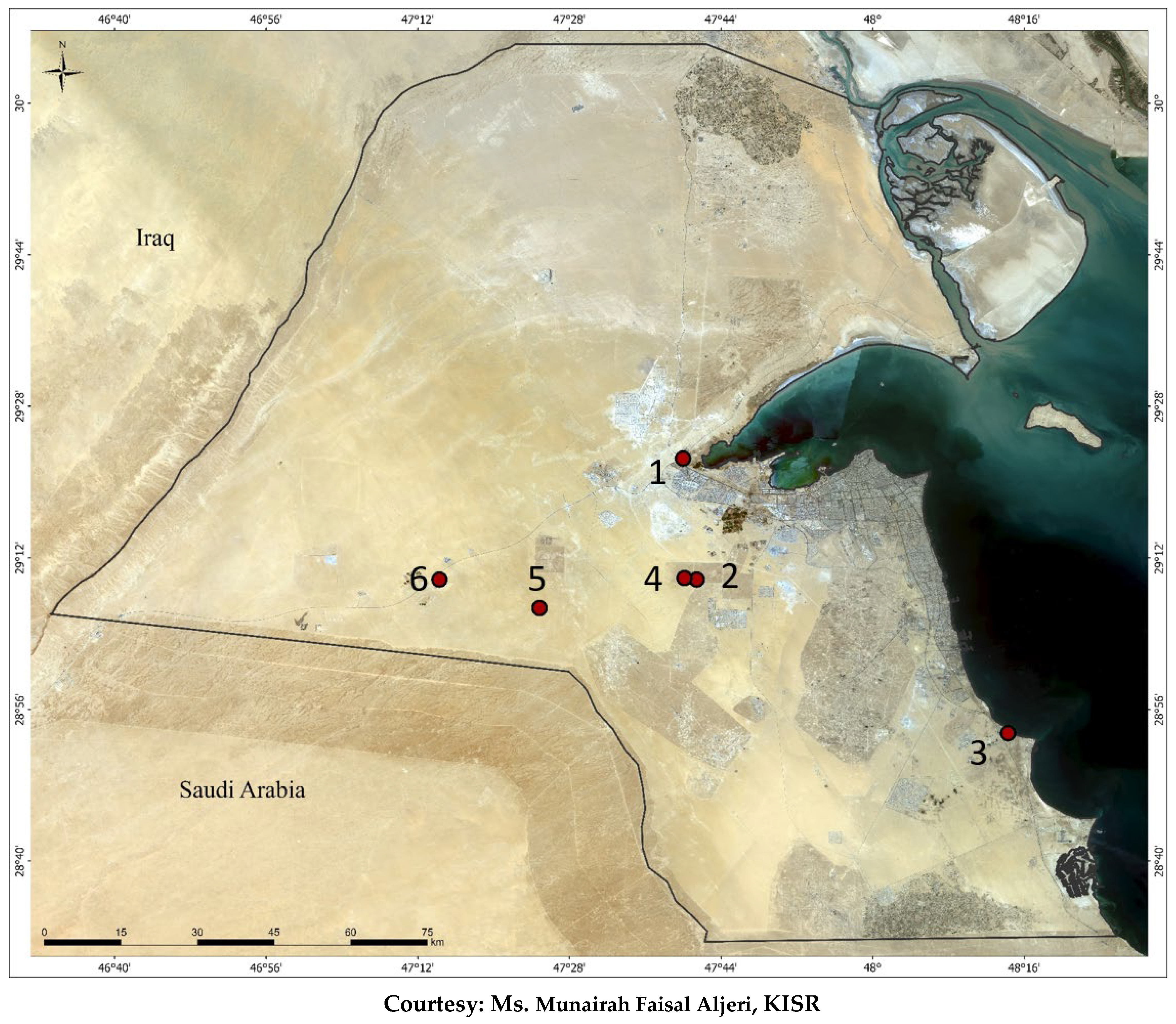 Sustainability 15 15904 g001