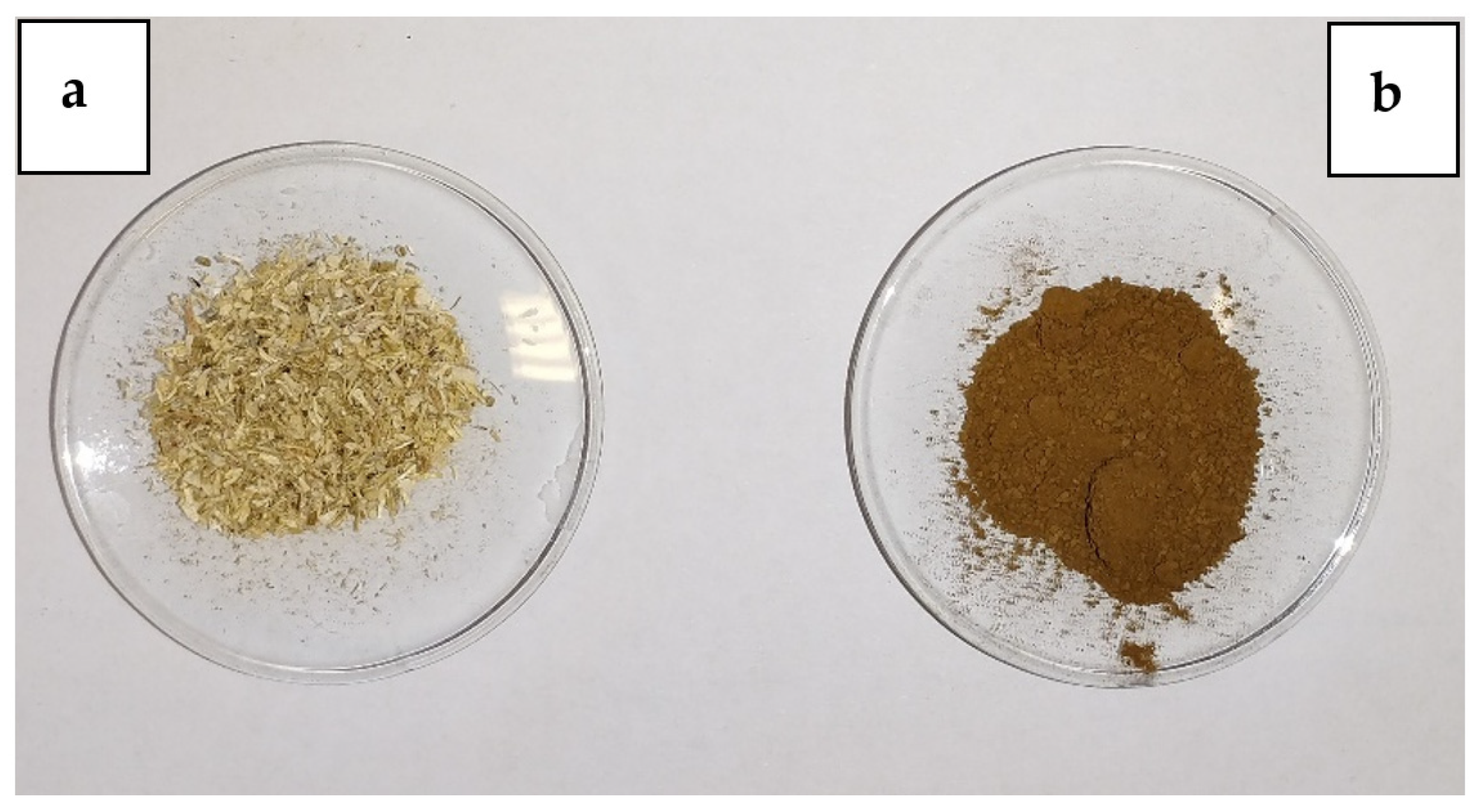 Sustainability 15 15905 g002