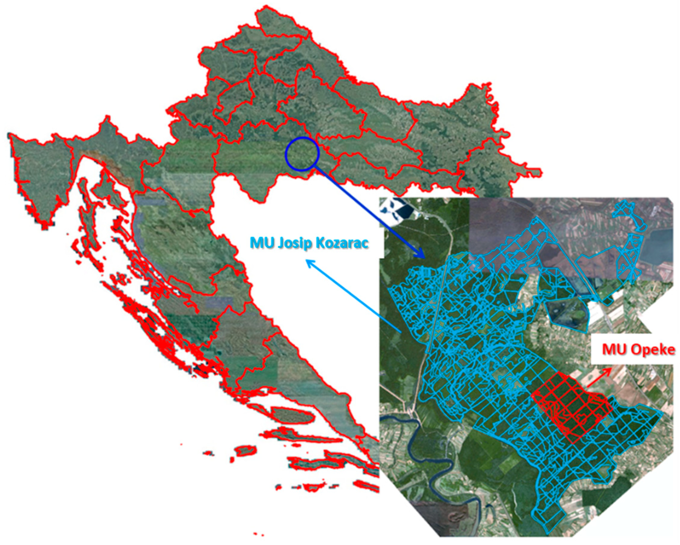 Sustainability 15 15918 g001