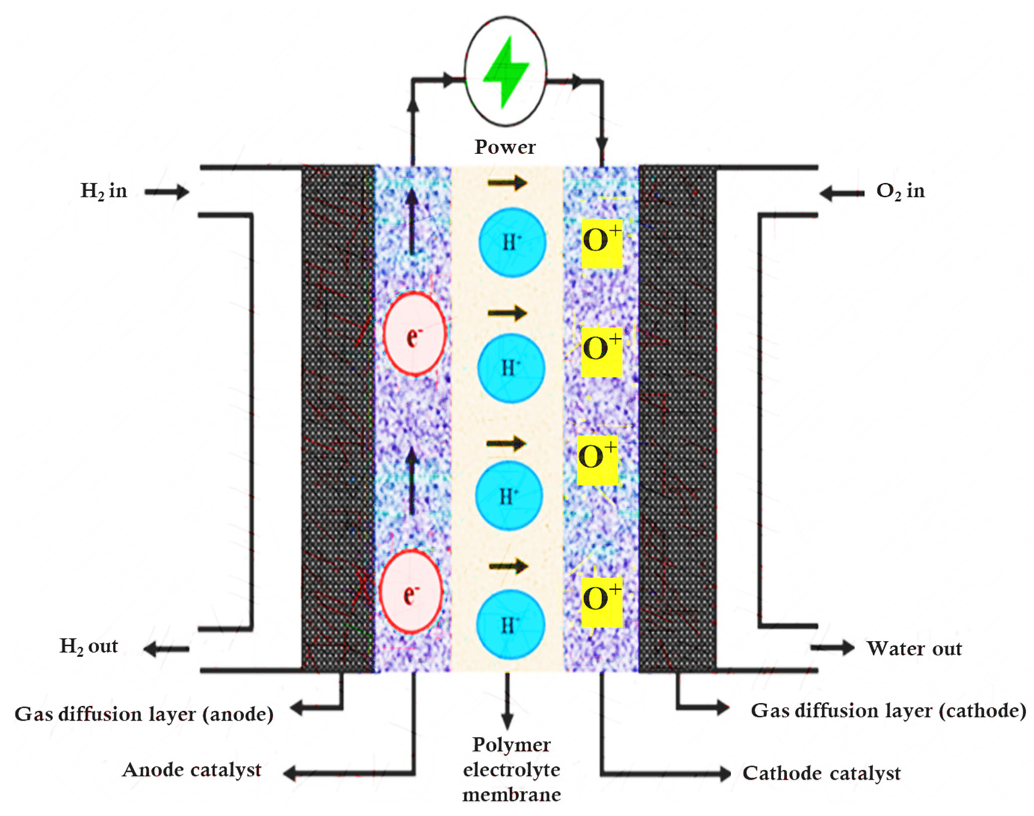 Sustainability 15 15923 g002