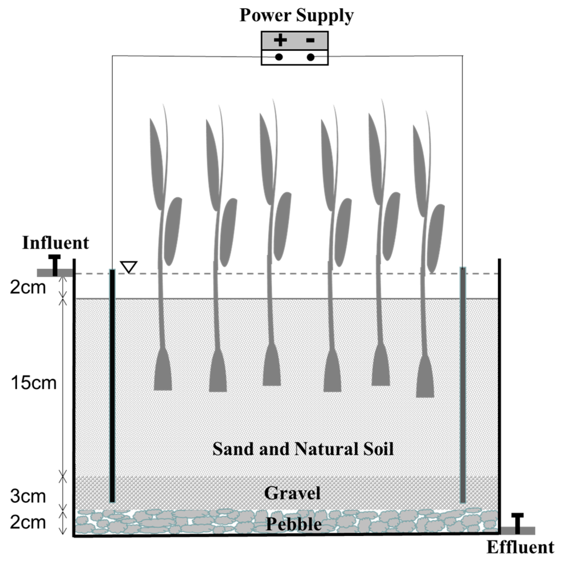 Sustainability 15 15958 g001