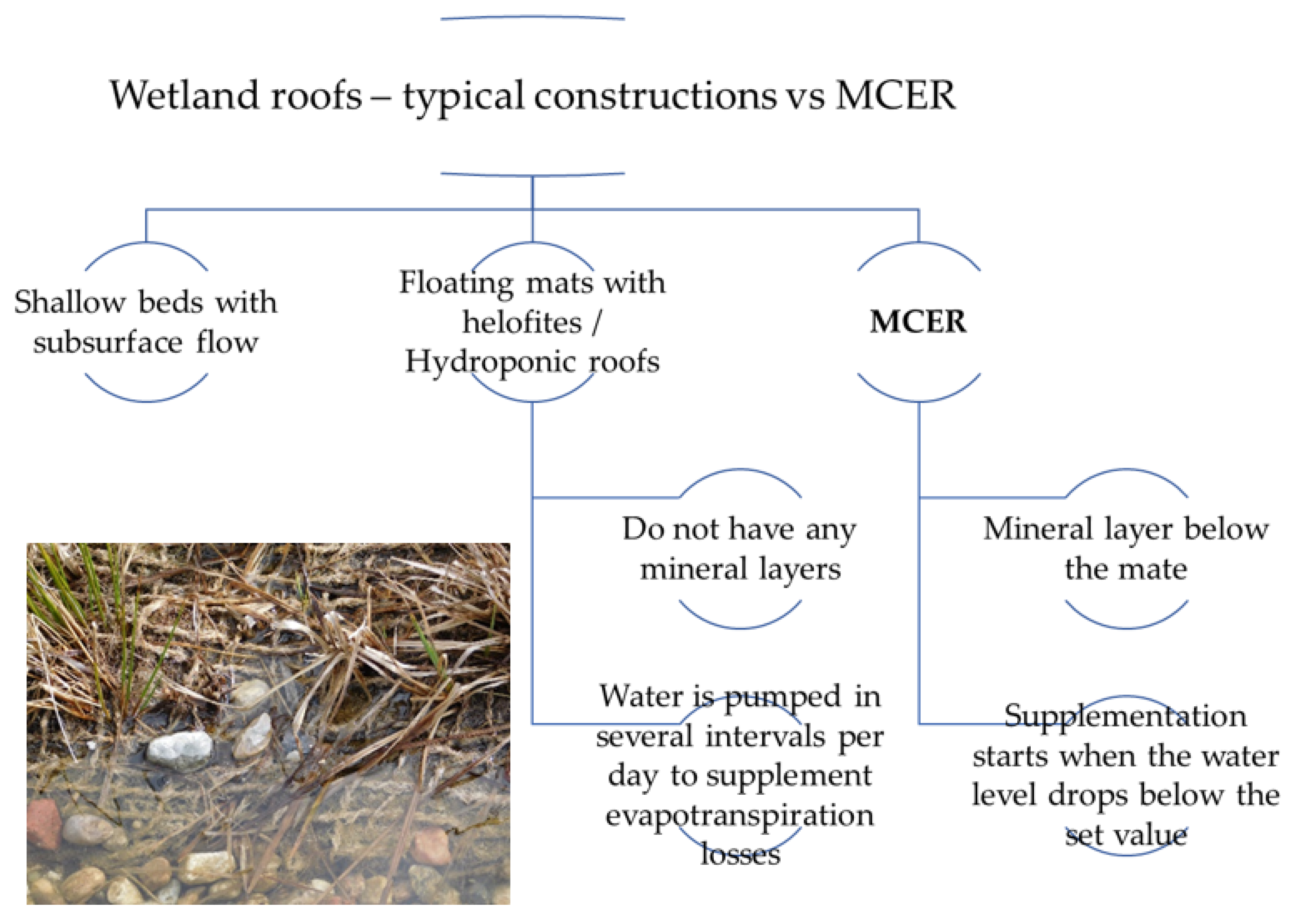 Sustainability 15 16018 g002