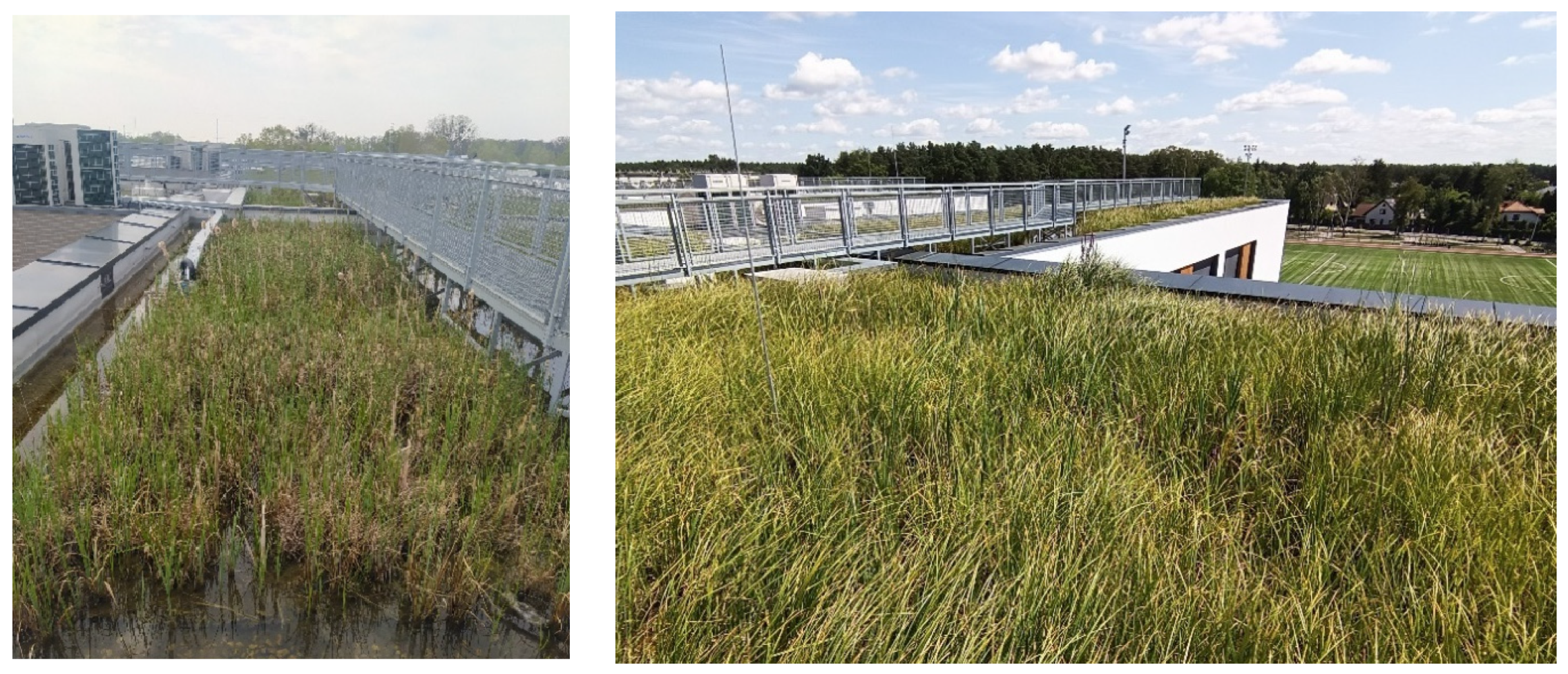 Sustainability 15 16018 g003