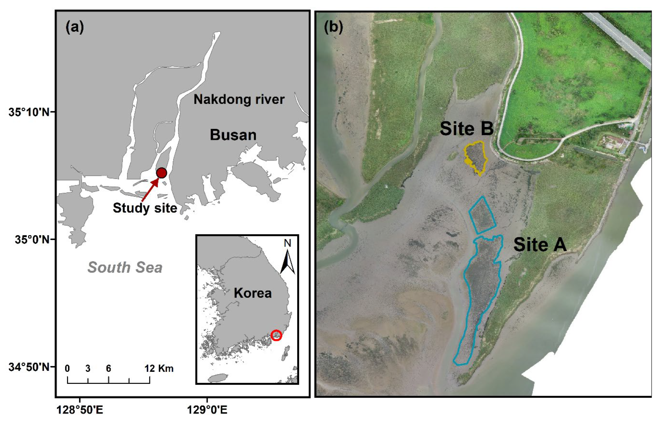 Sustainability 15 16065 g001