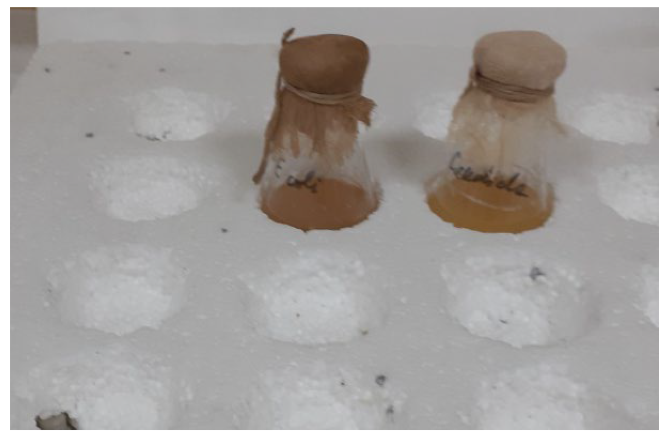 Sustainability 15 16068 g002