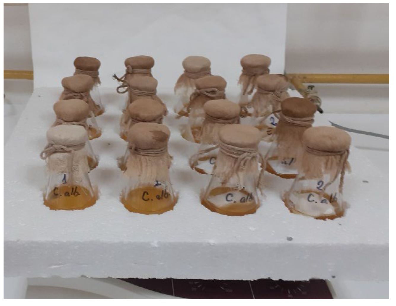 Sustainability 15 16068 g003