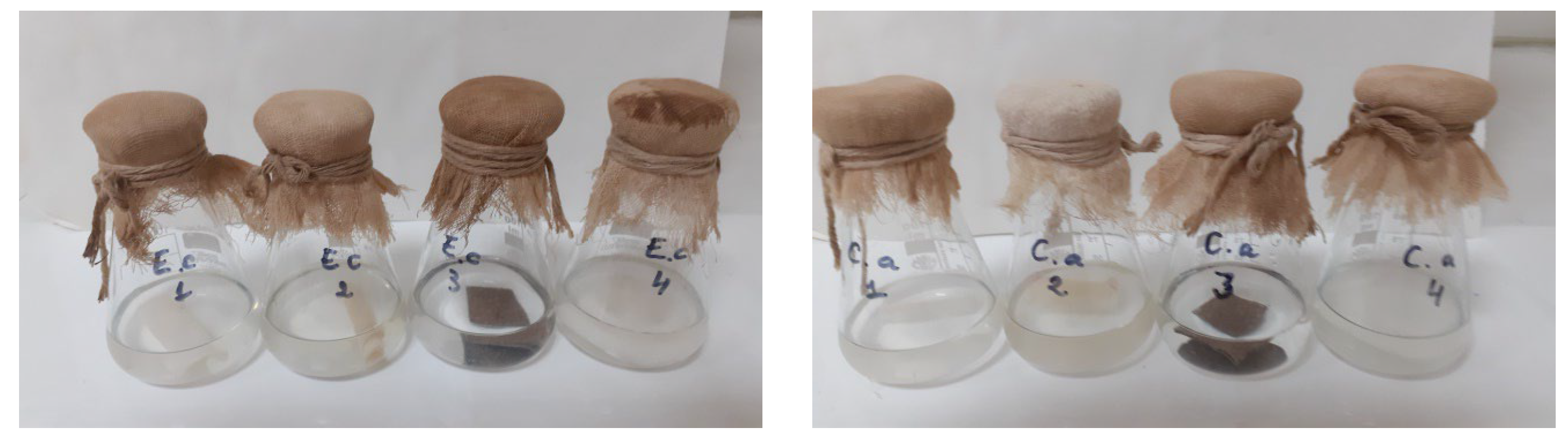 Sustainability 15 16068 g004