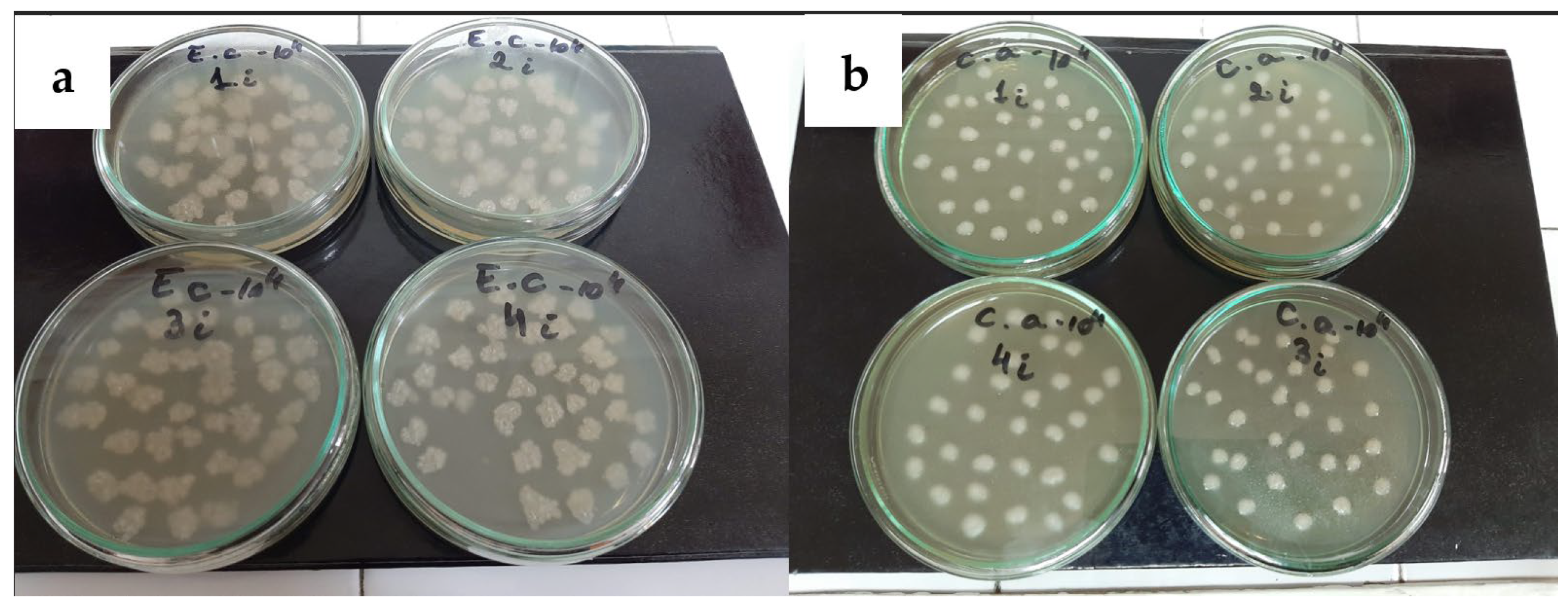 Sustainability 15 16068 g005