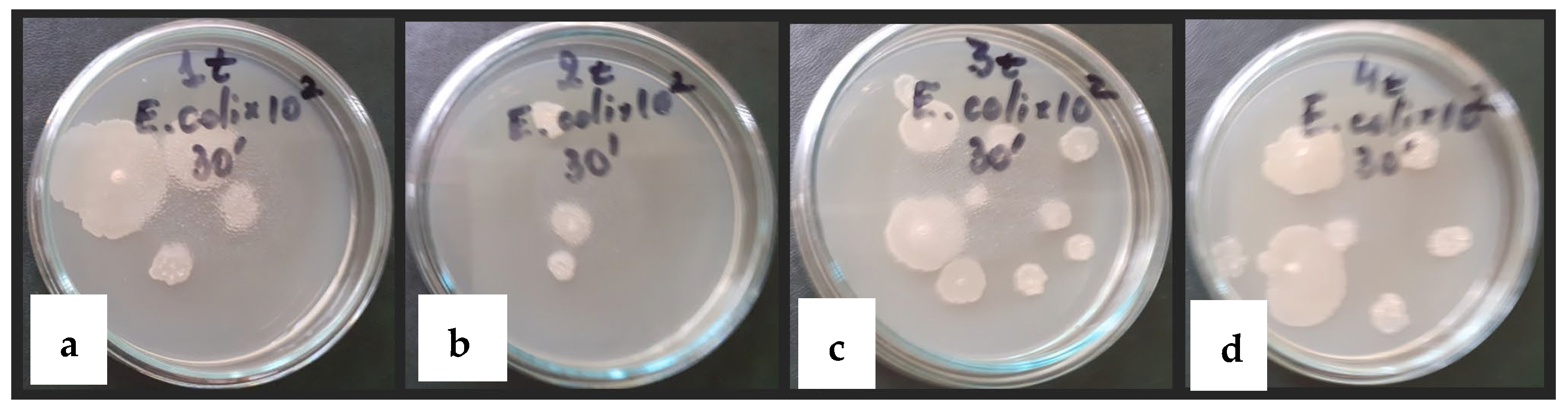 Sustainability 15 16068 g009