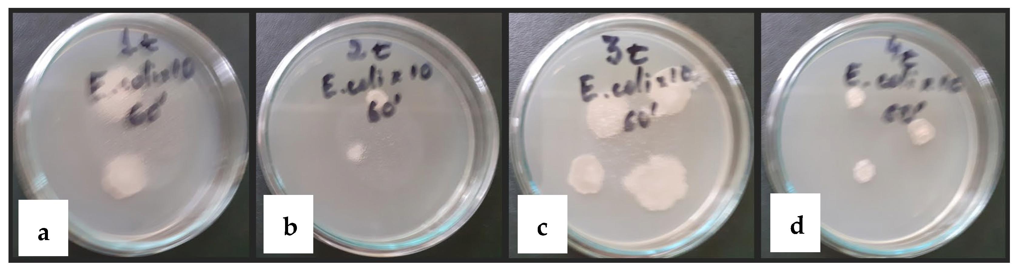 Sustainability 15 16068 g010