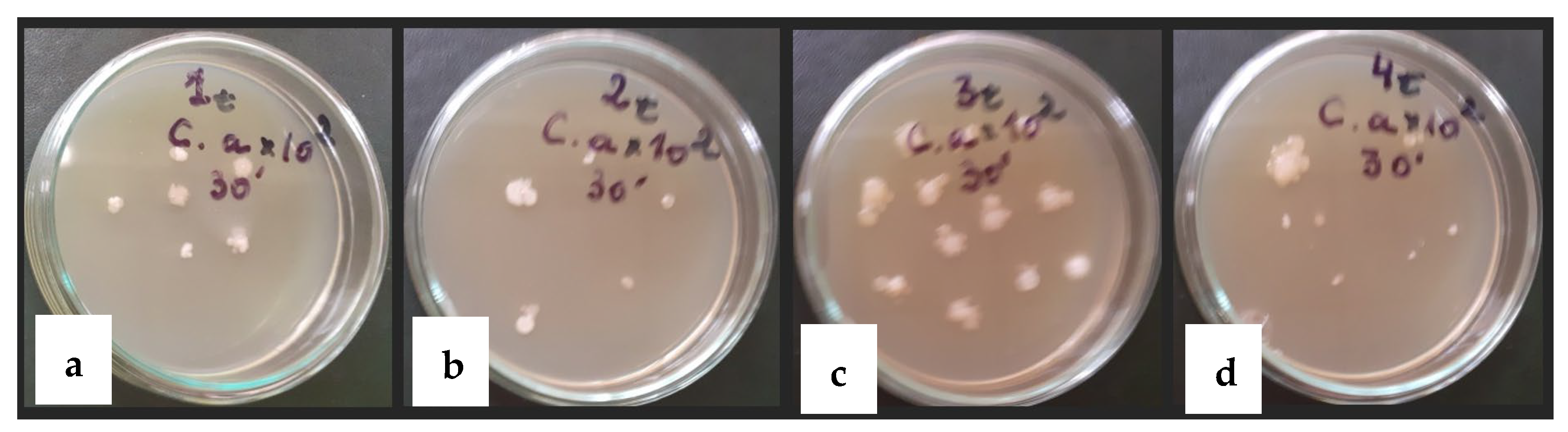 Sustainability 15 16068 g011