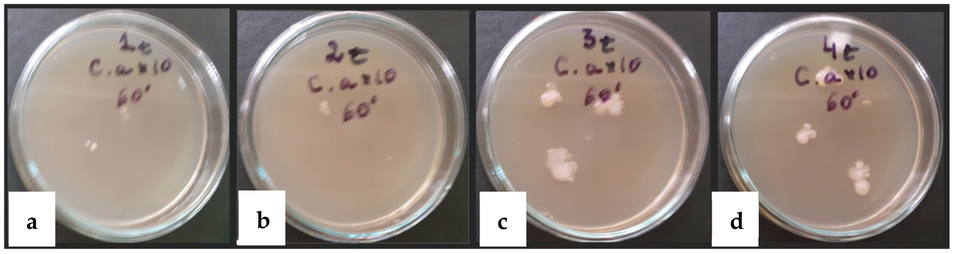 Sustainability 15 16068 g012