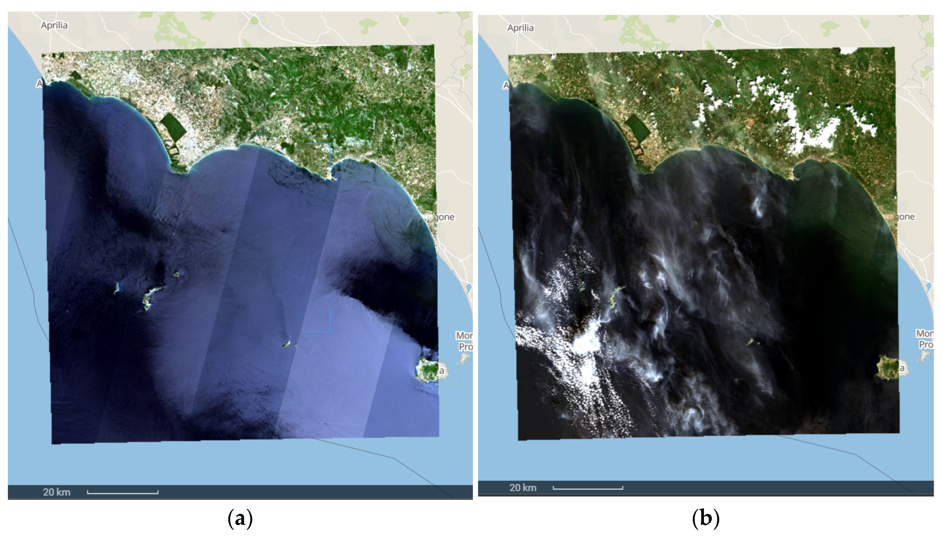 Sustainability 15 16076 g005