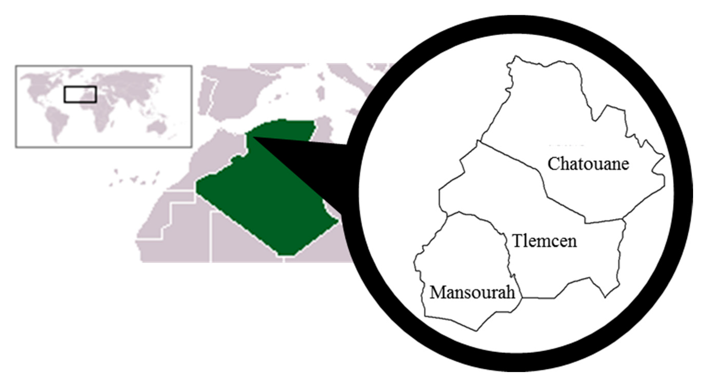 Sustainability 15 16083 g001