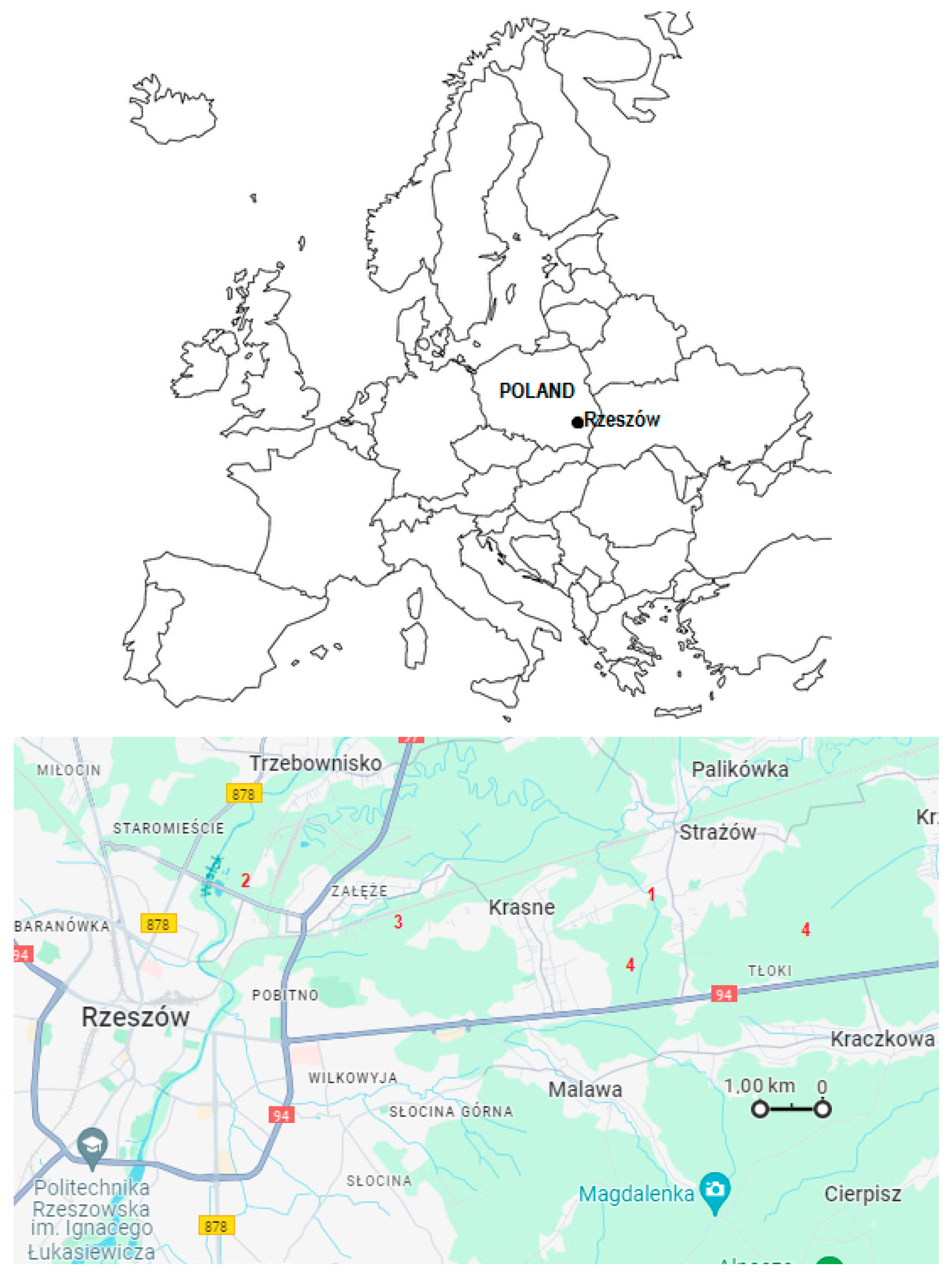 Sustainability 15 16121 g001