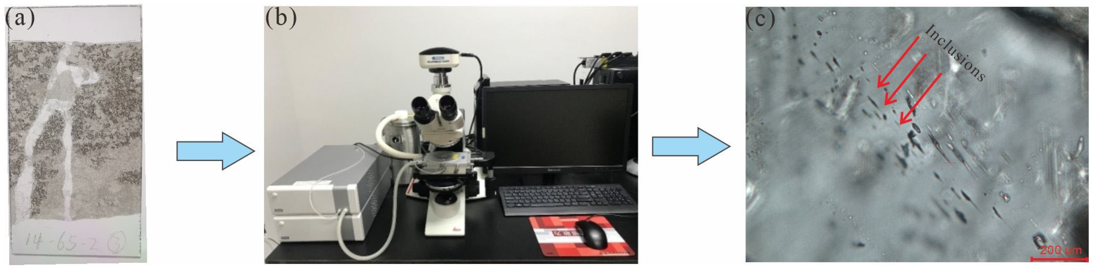 Sustainability 15 16155 g003