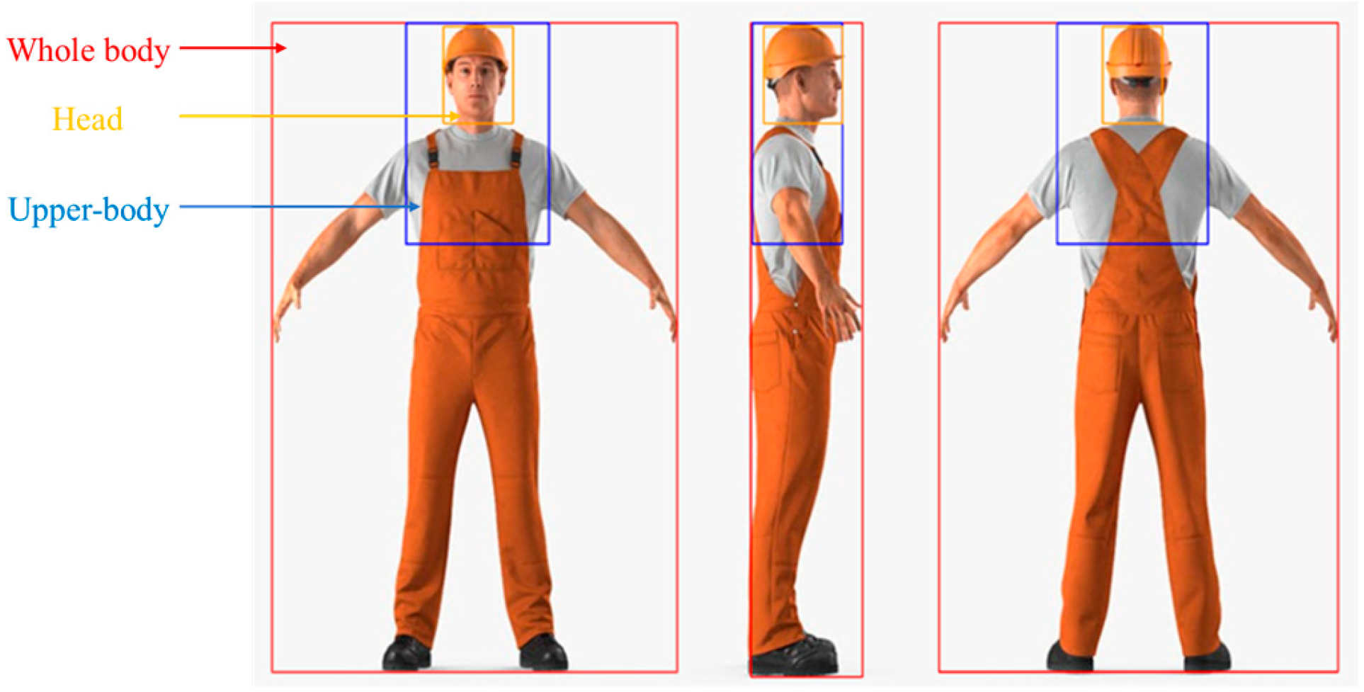 Sustainability 15 16163 g006