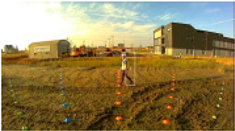 Sustainability 15 16163 i143