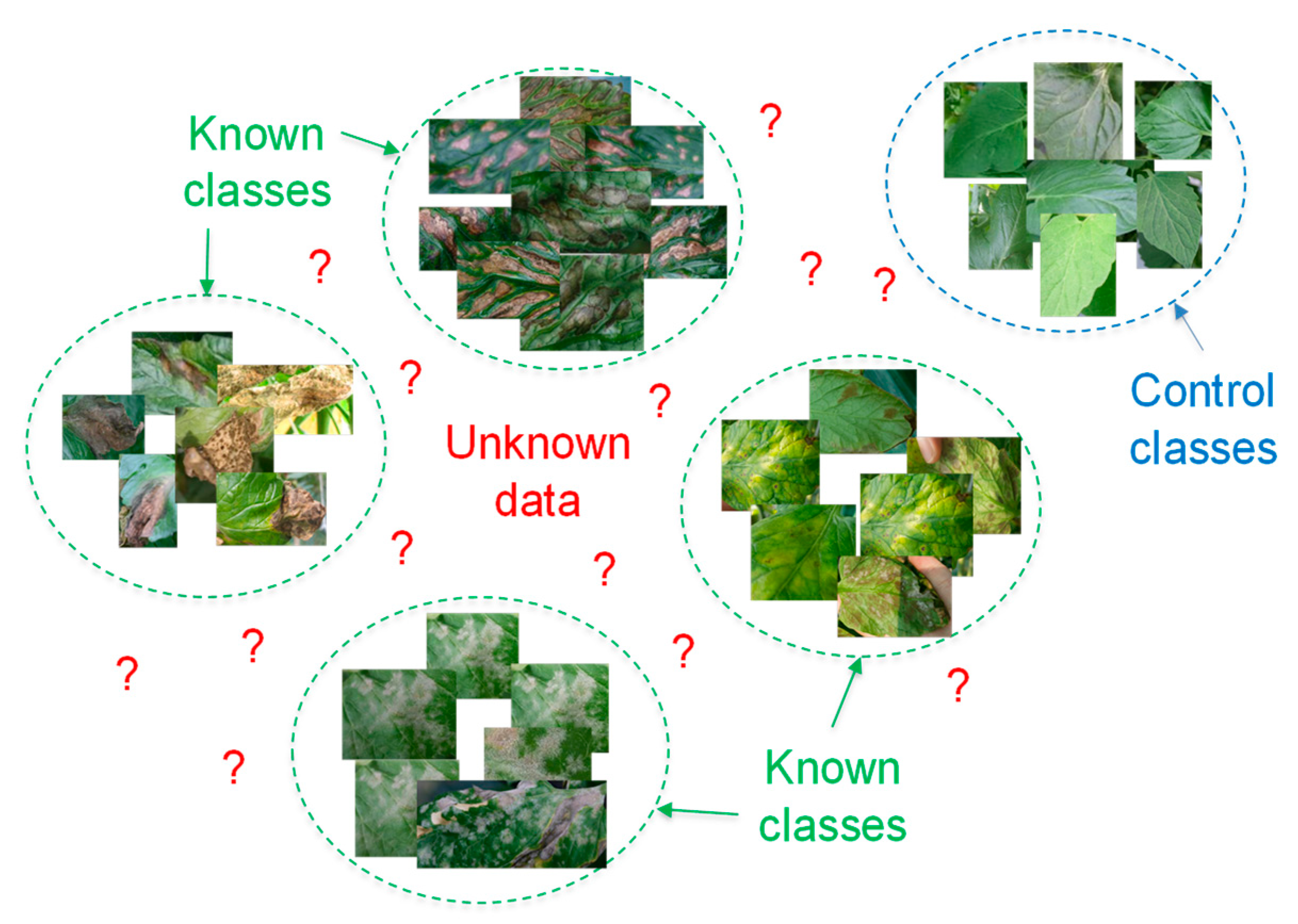 Sustainability 15 16220 g001