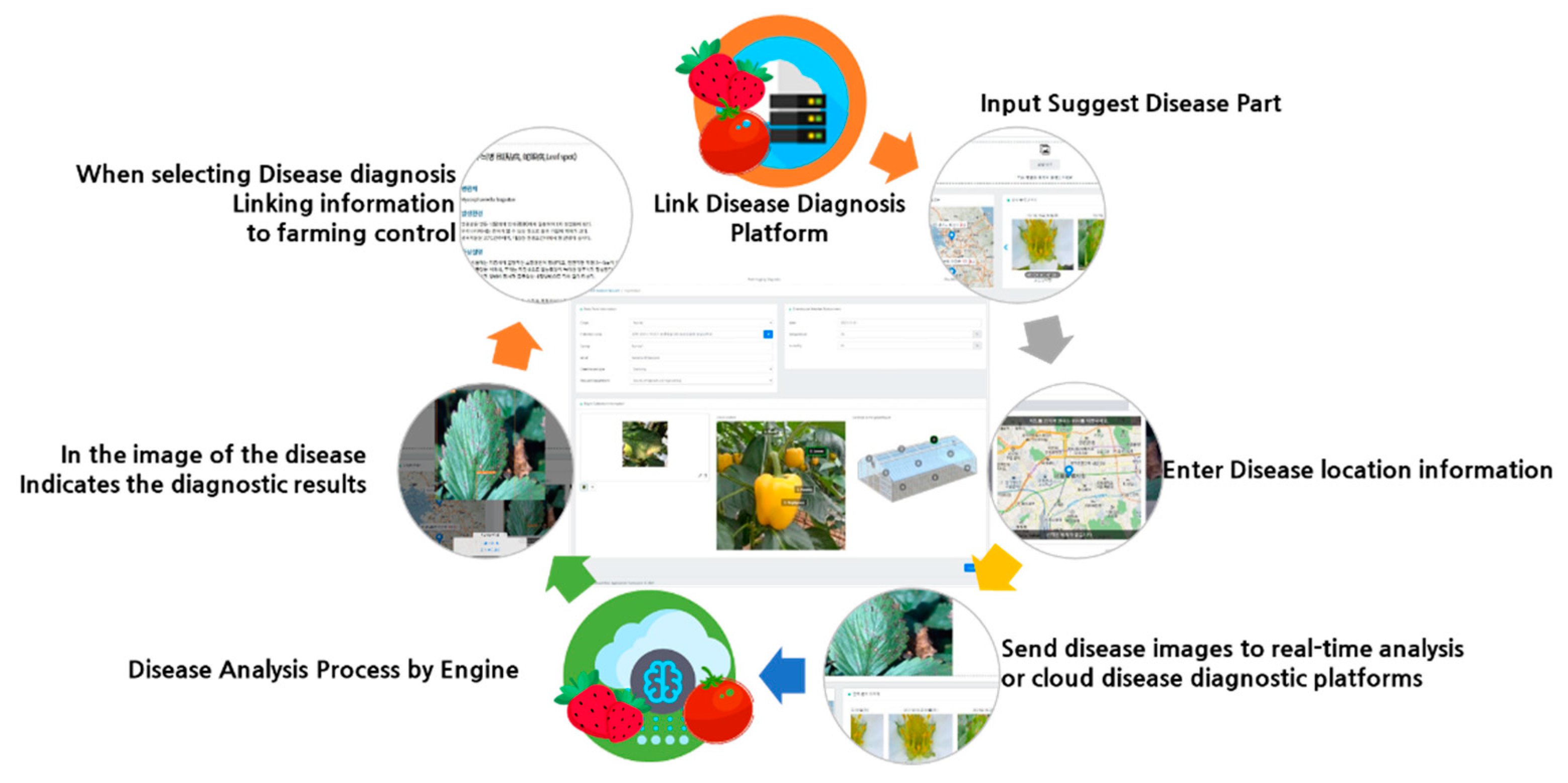 Sustainability 15 16220 g003