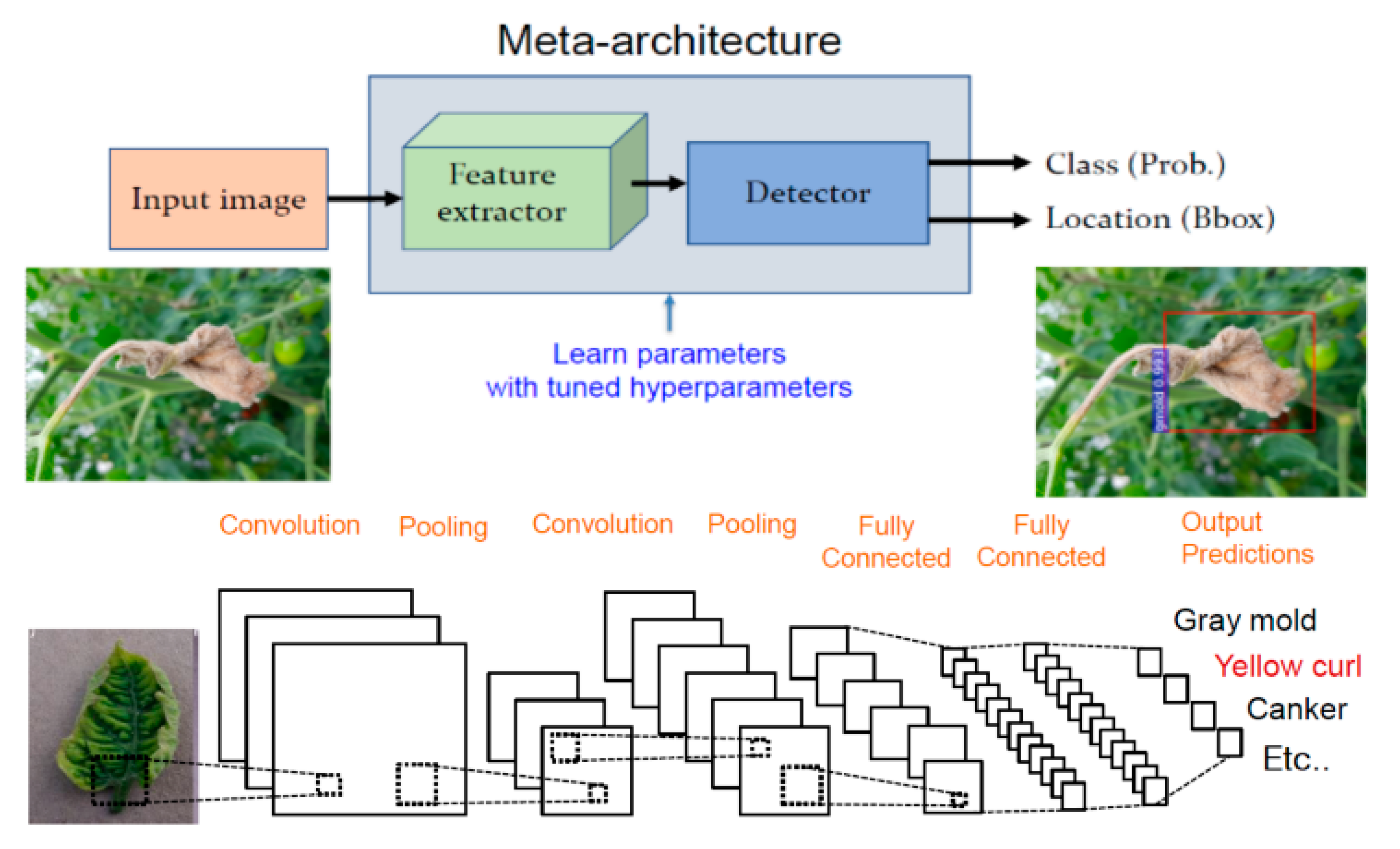 Sustainability 15 16220 g006