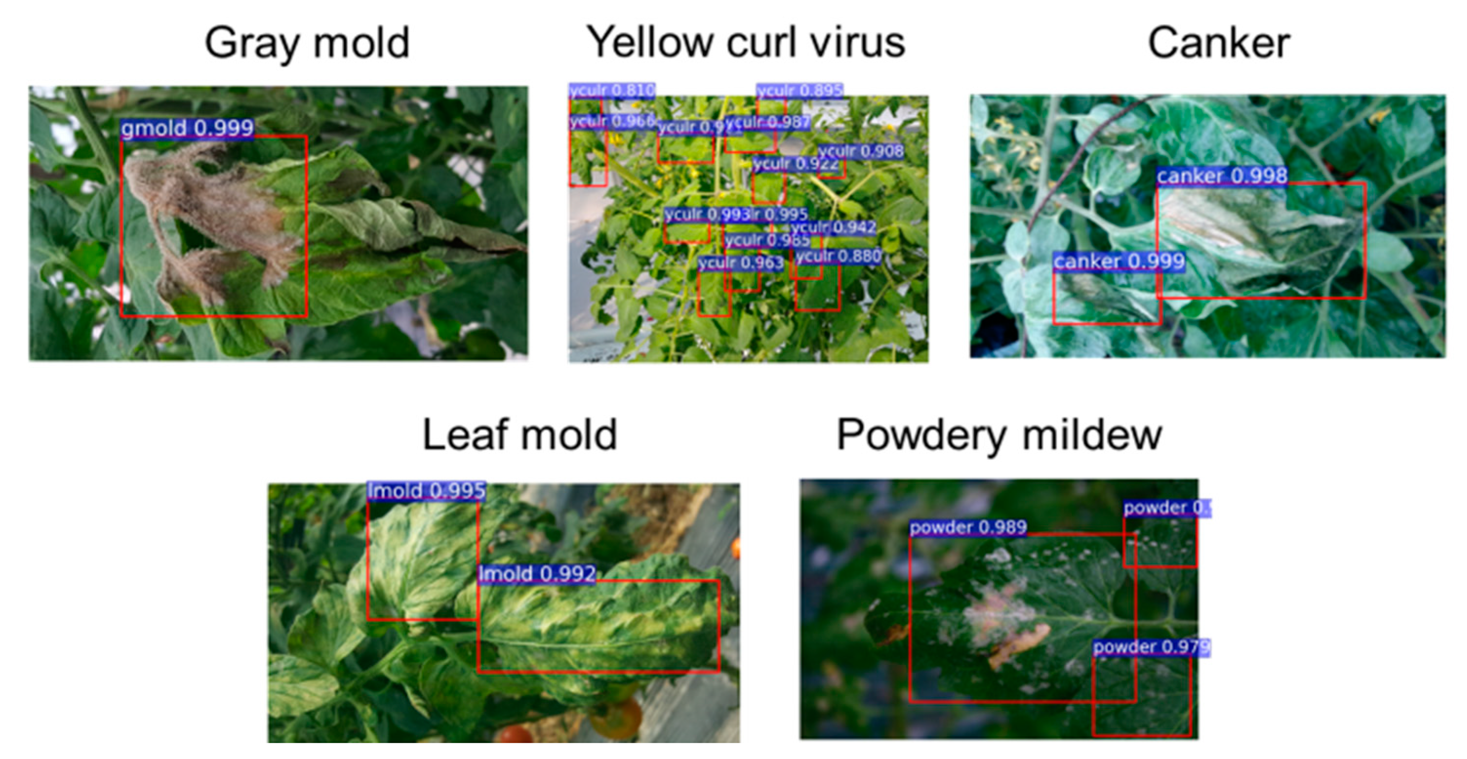 Sustainability 15 16220 g009
