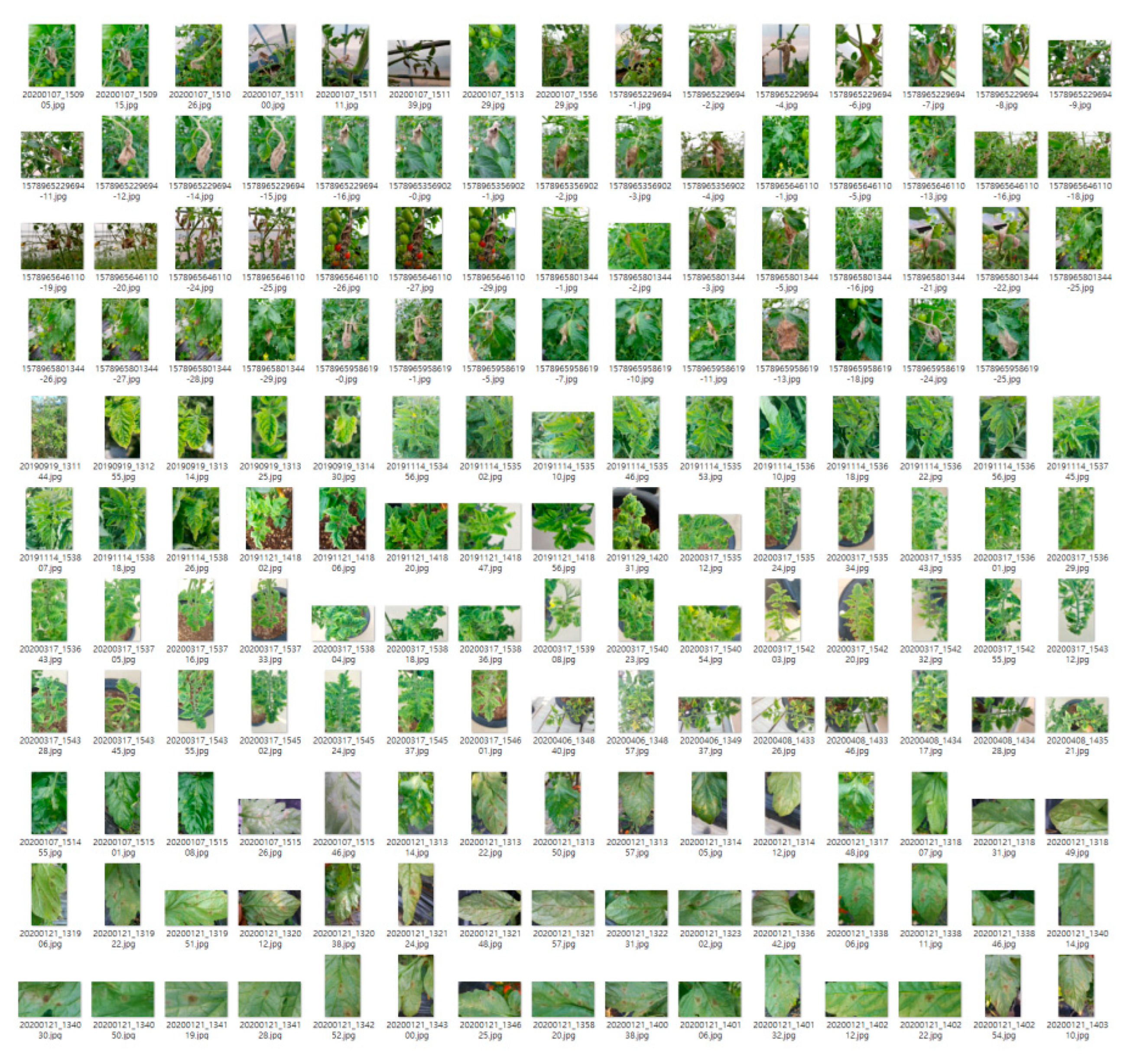 Sustainability 15 16220 g015