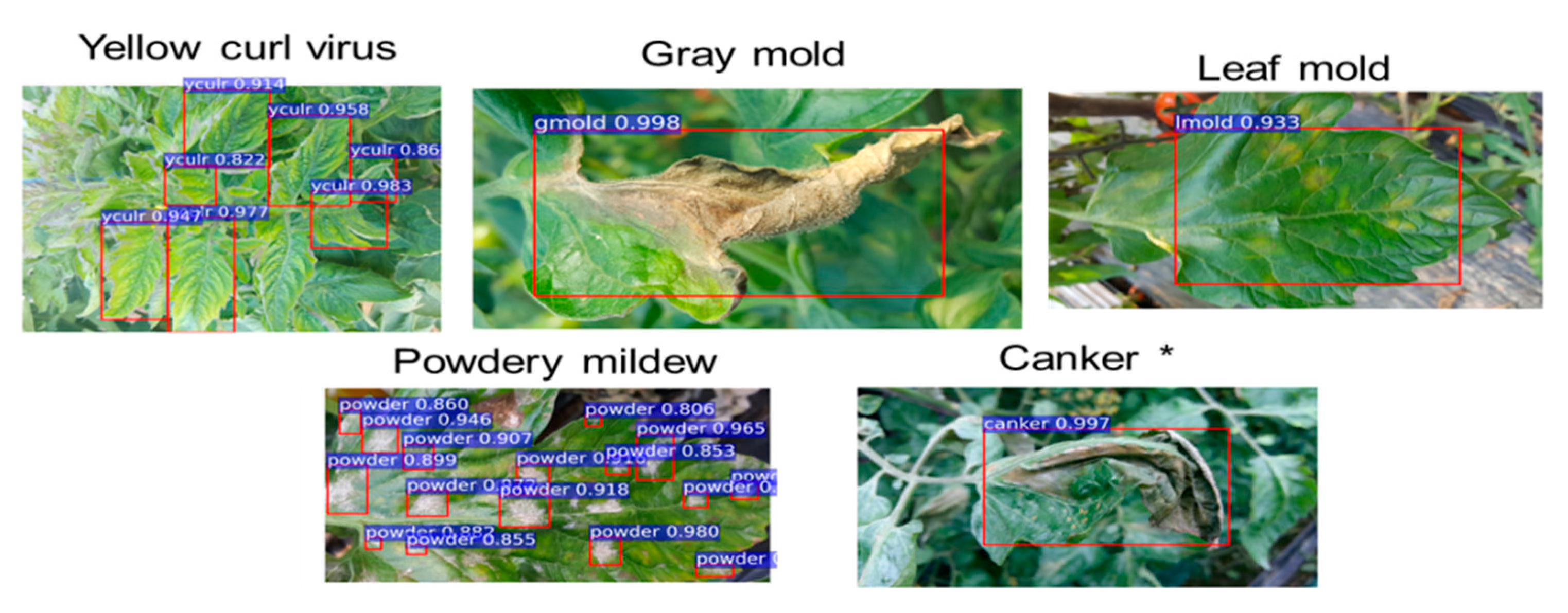 Sustainability 15 16220 g016