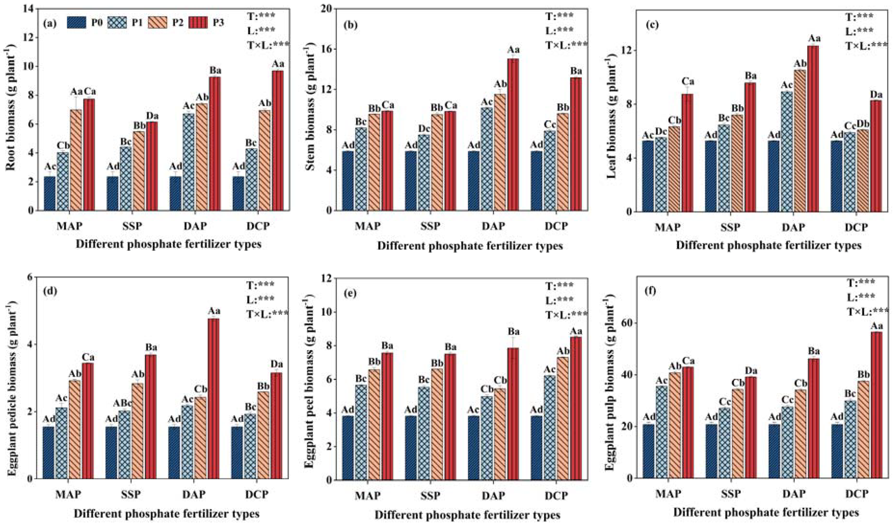 Sustainability 15 16236 g001
