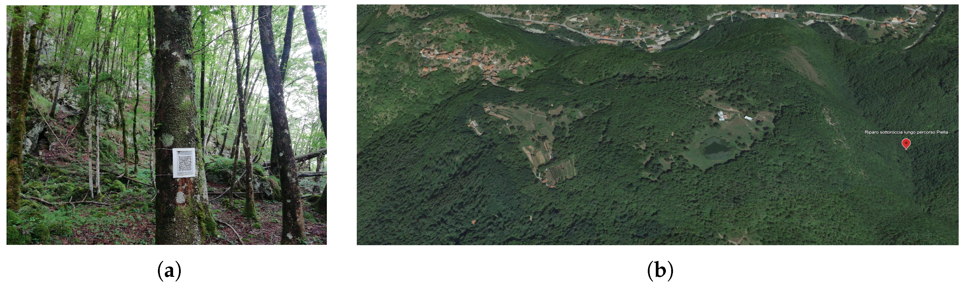 Sustainability 15 16251 g005