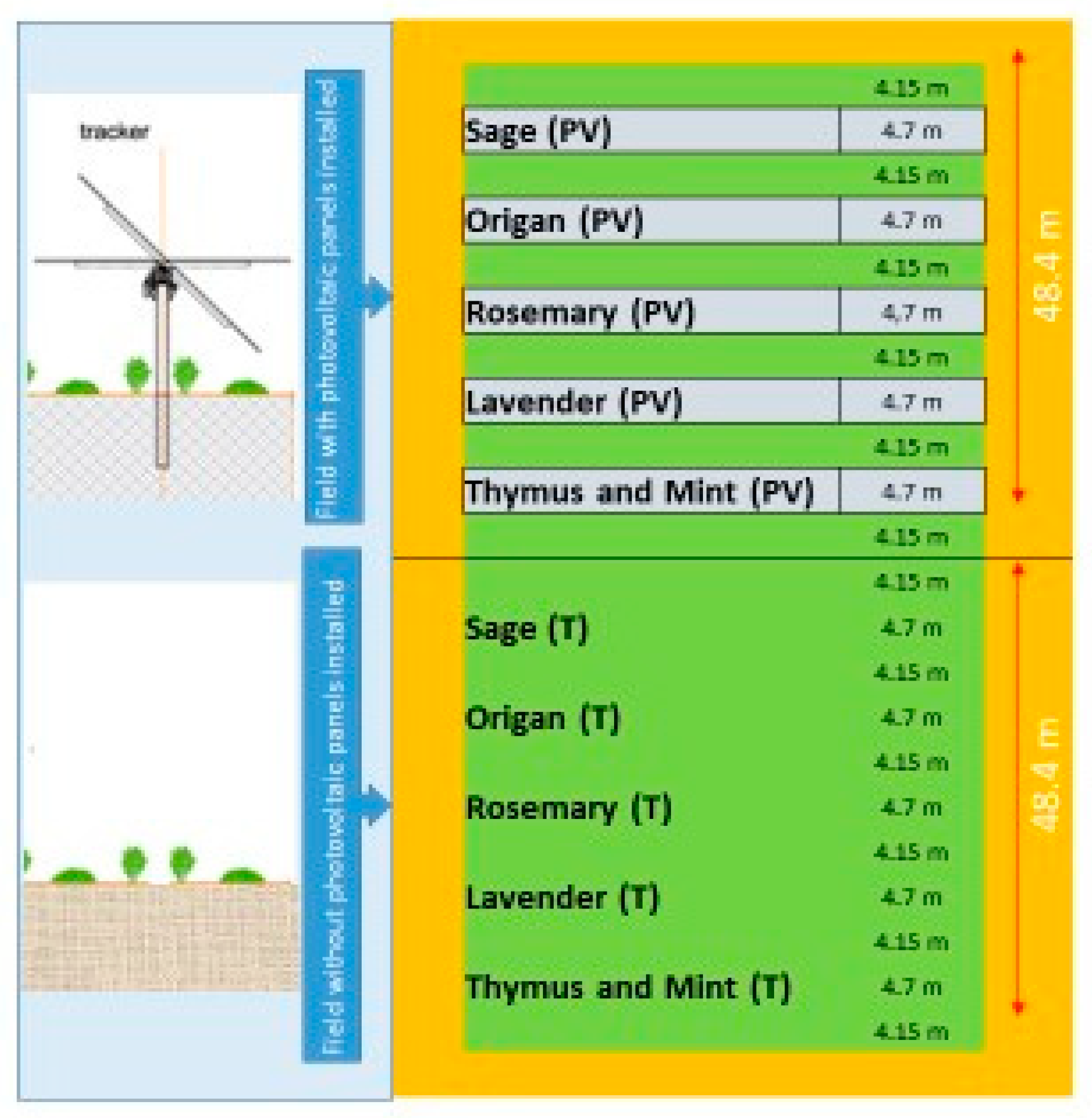 Sustainability 15 16252 g003