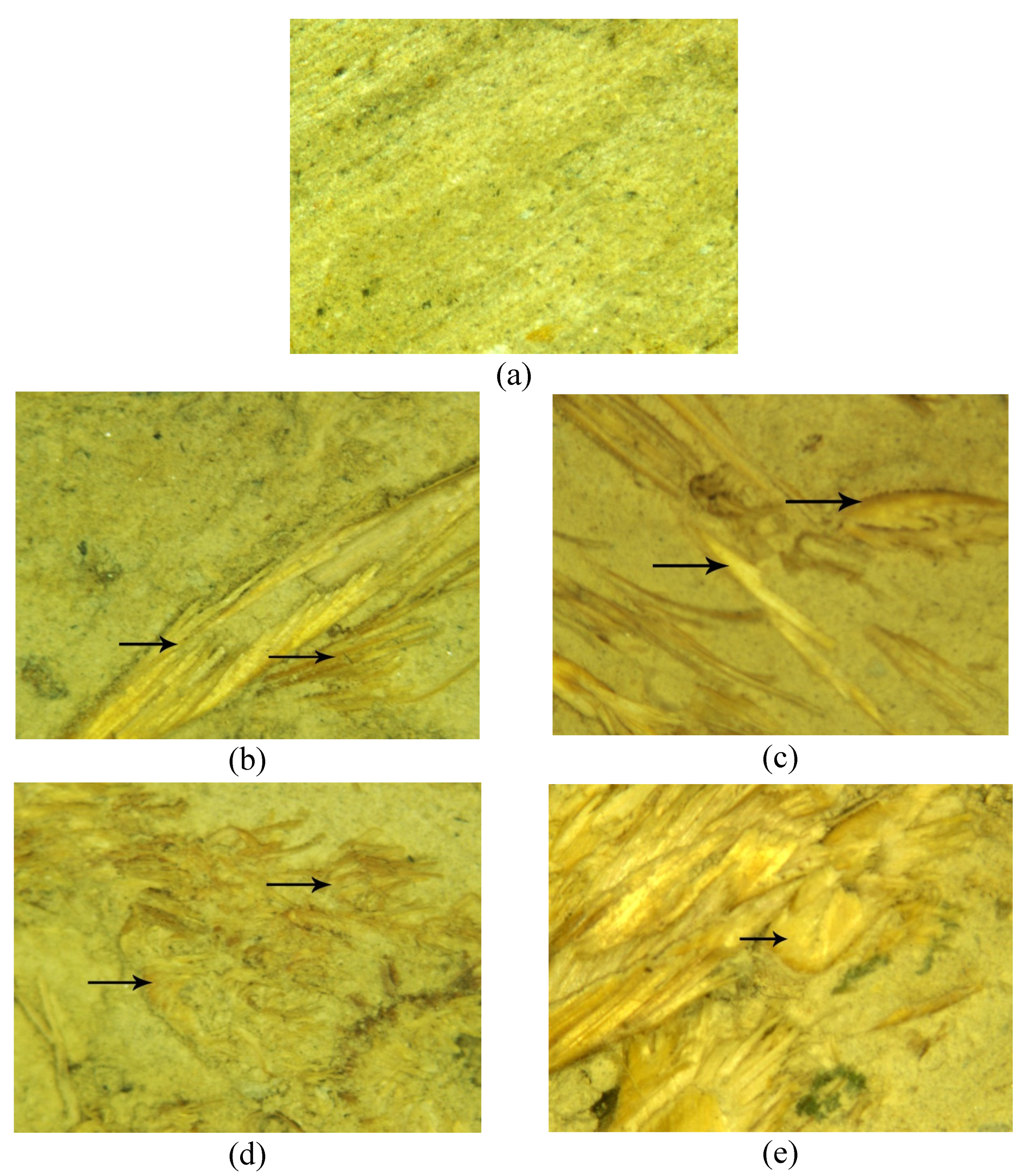 Sustainability 15 16254 g008