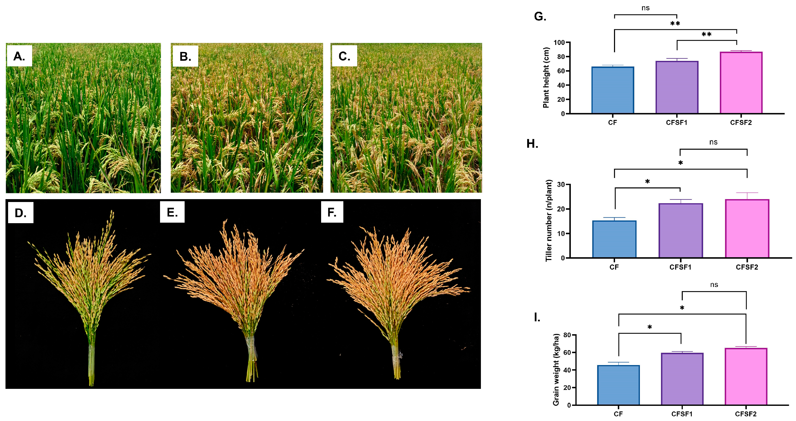 Sustainability 15 16328 g002