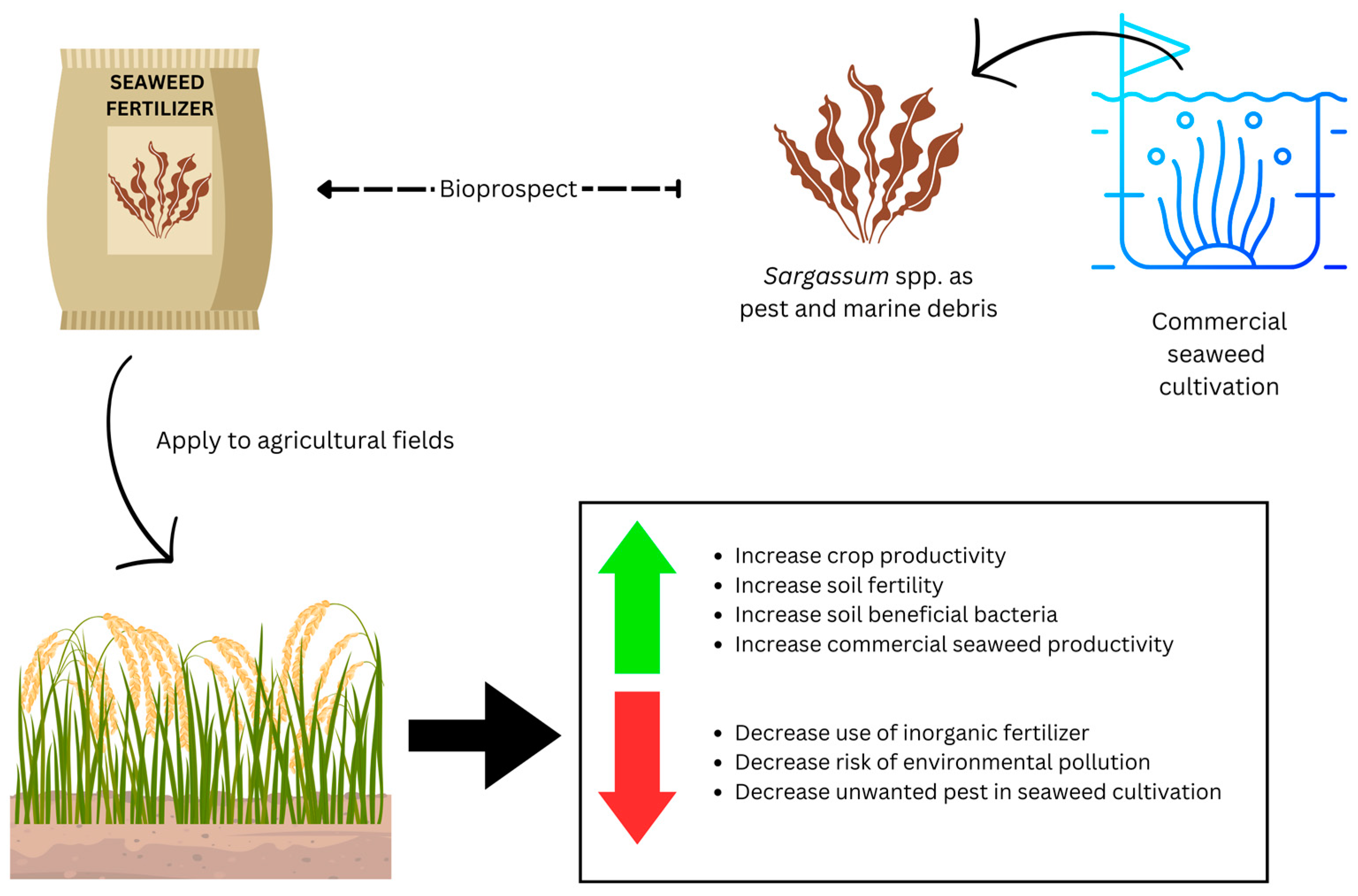 Sustainability 15 16328 g006