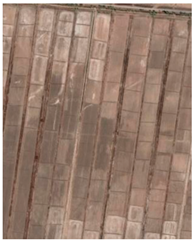 Sustainability 15 16343 i003