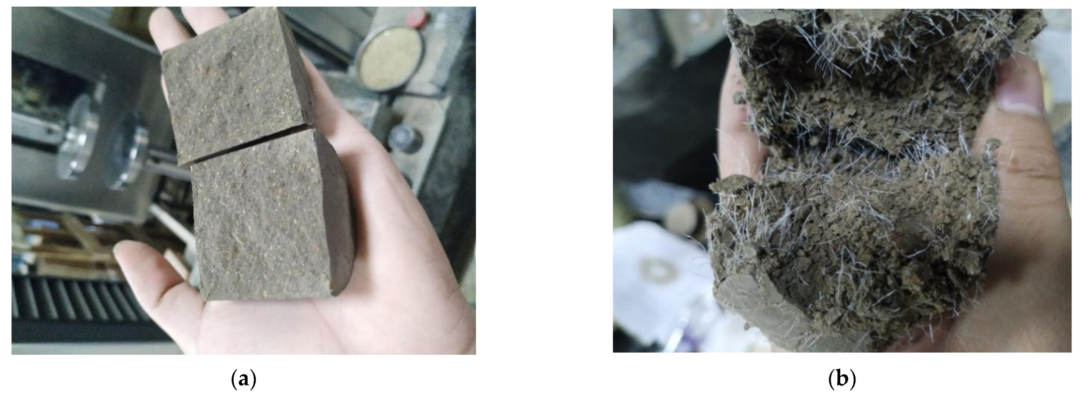 Sustainability 15 16360 g008