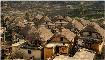 Sustainability 15 16362 i001