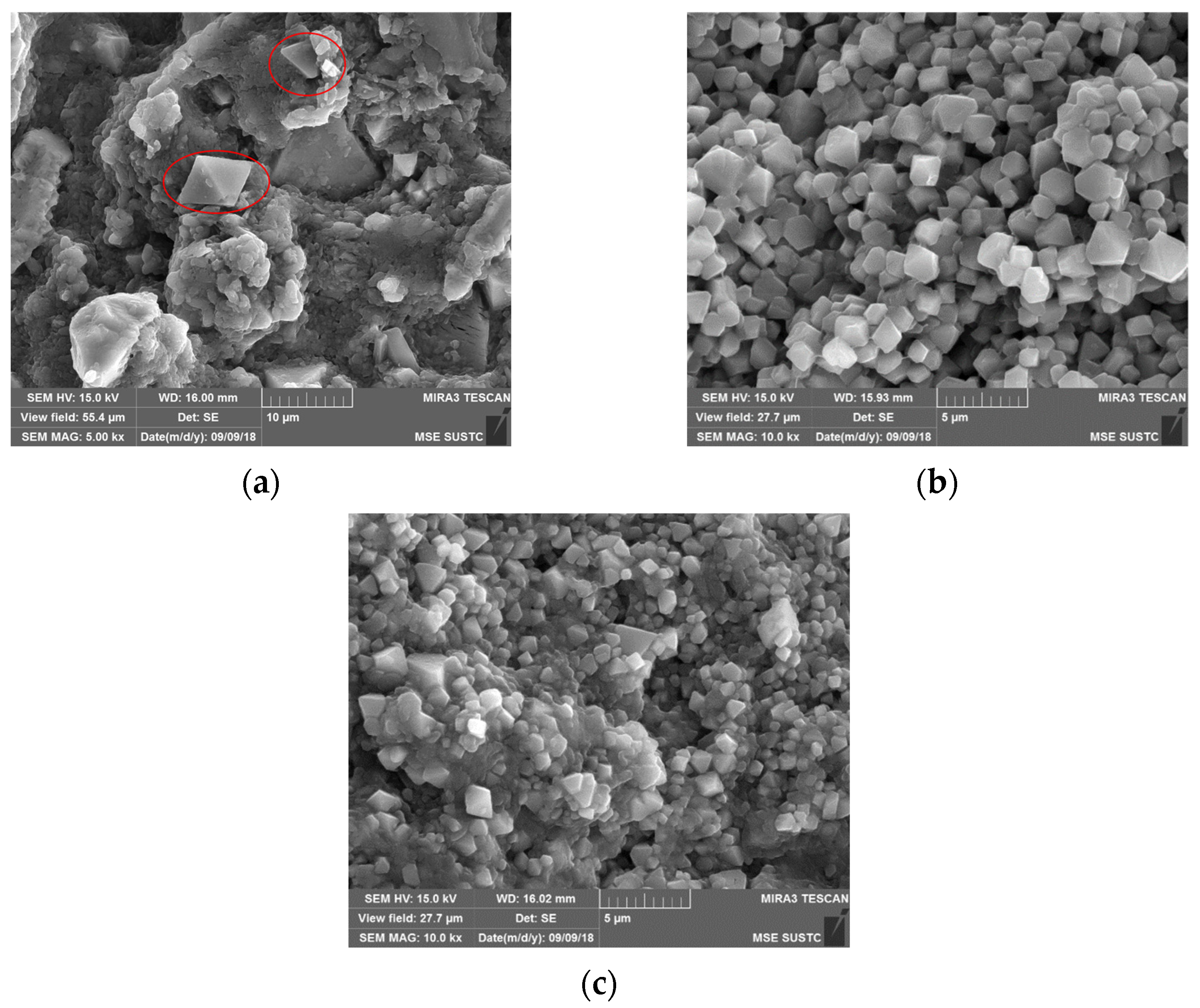 Sustainability 15 16372 g001