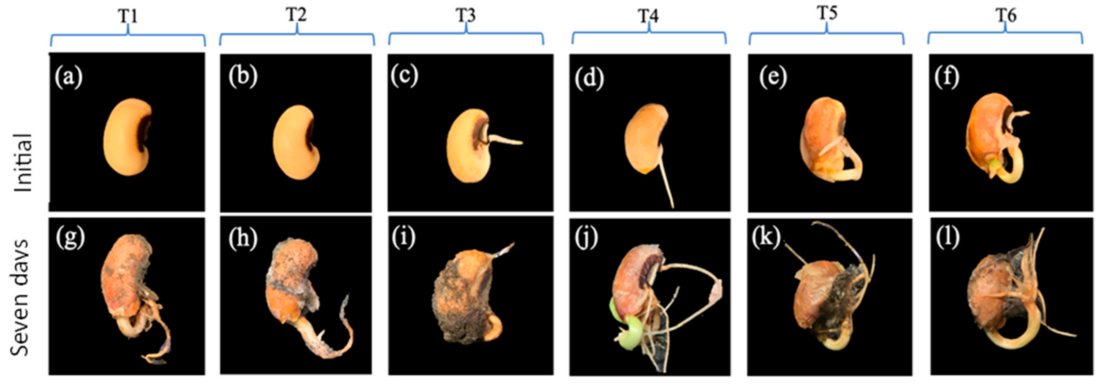 Sustainability 15 16403 g004