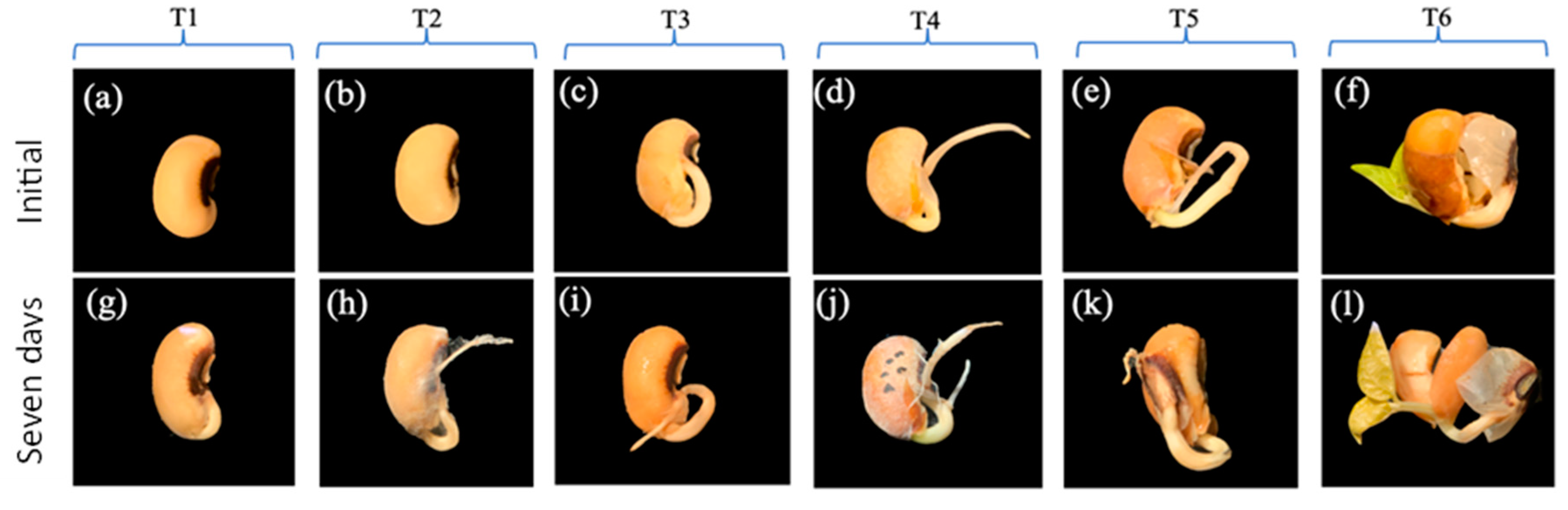 Sustainability 15 16403 g005