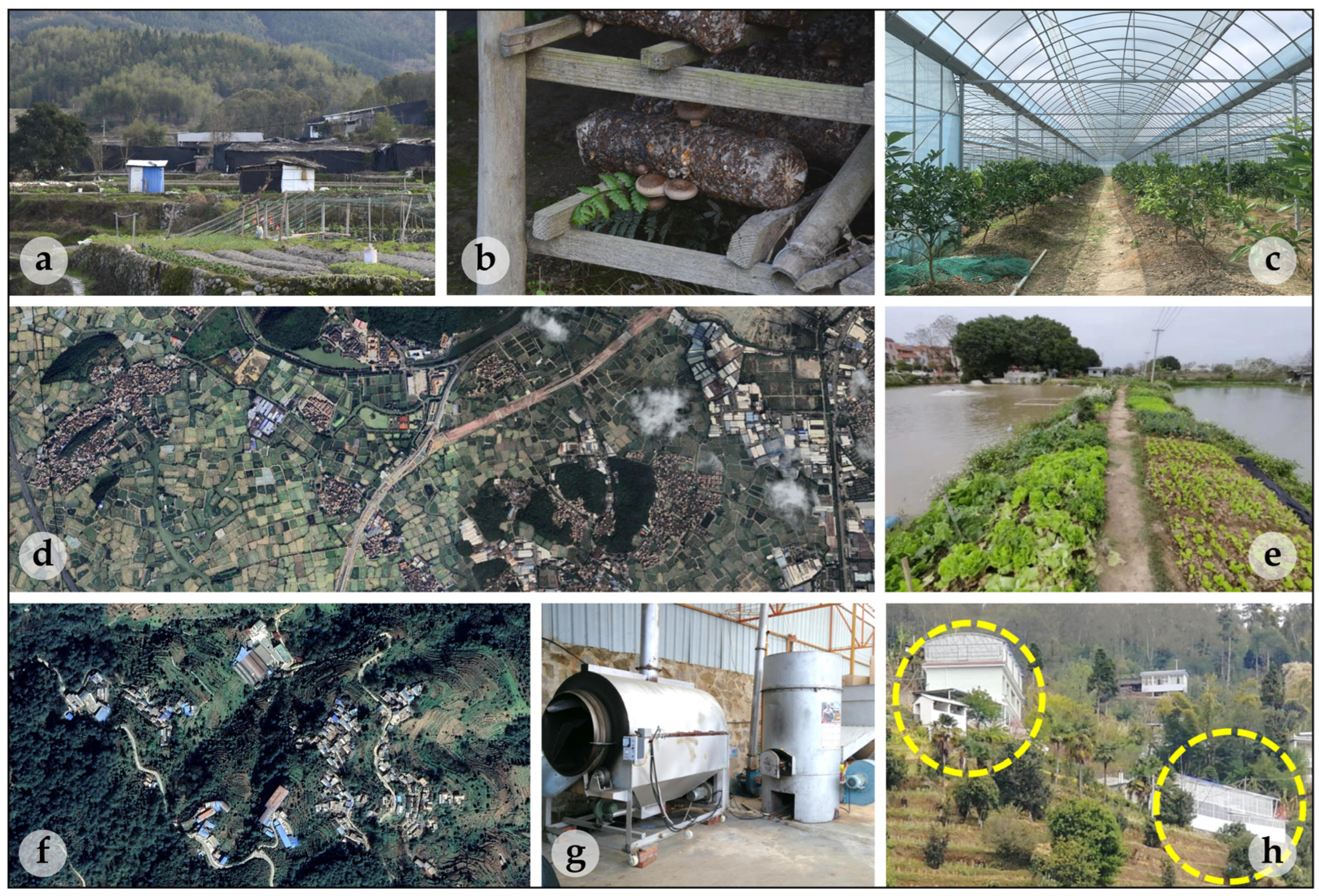 Sustainability 15 16408 g005