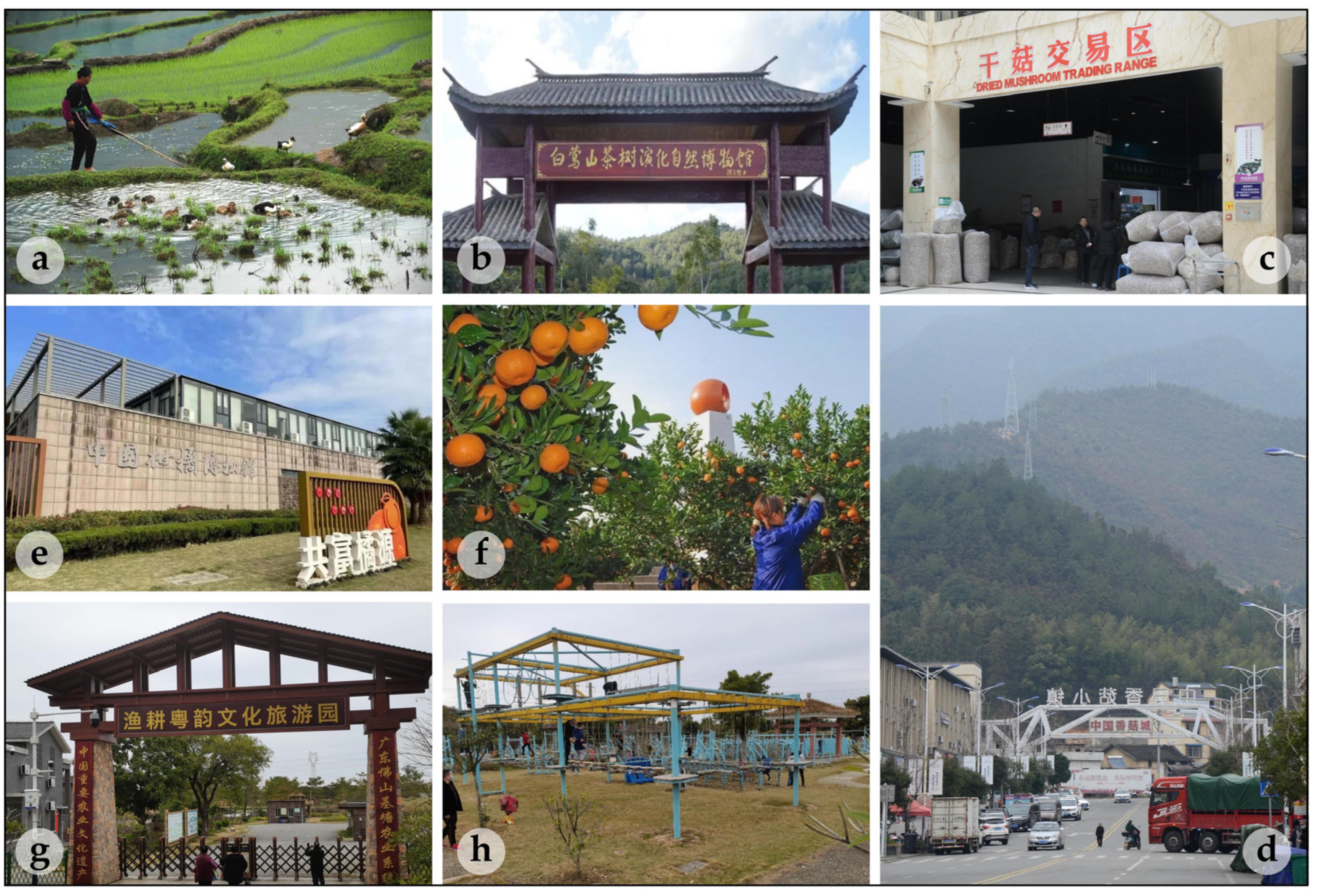 Sustainability 15 16408 g010