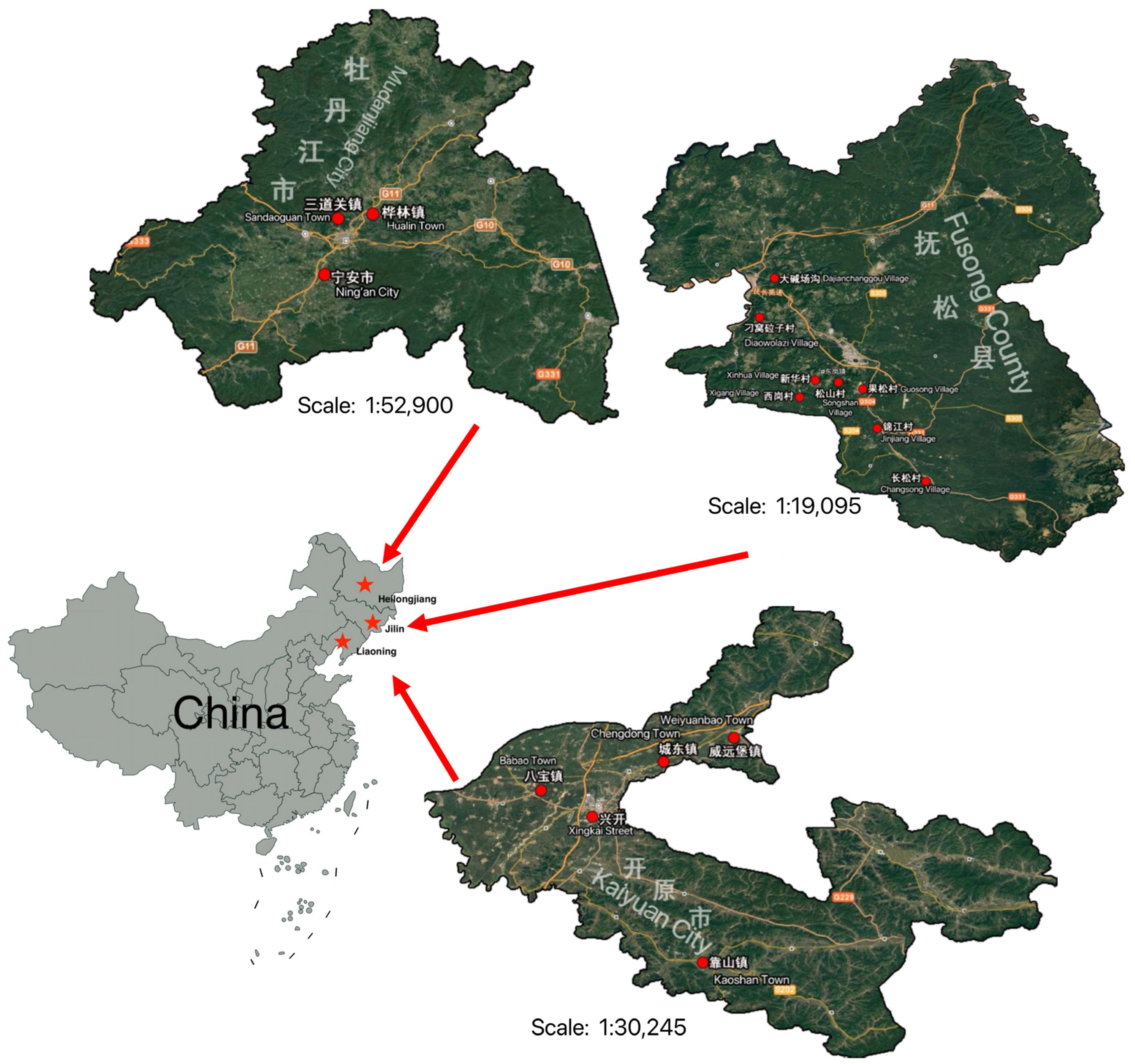 Sustainability 15 16447 g002